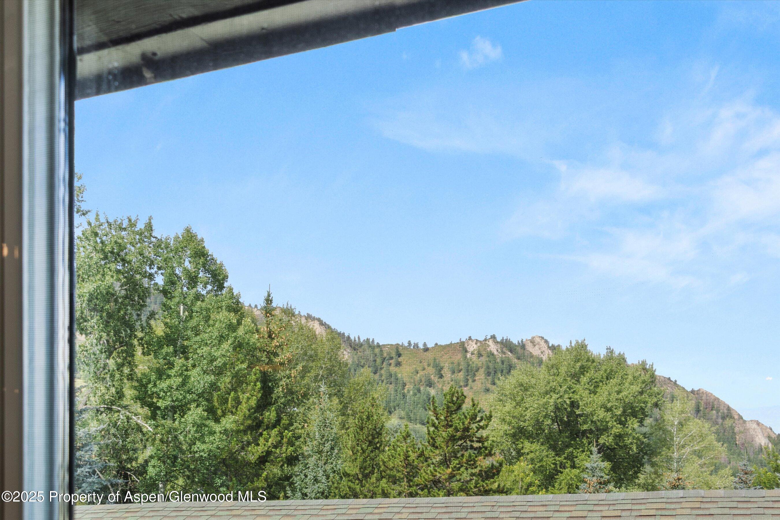 926 Waters Avenue, Unit 301 Aspen, CO 81611 - Photo 16 of 16 a view of a city