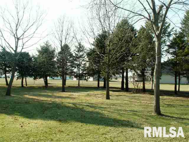1190 East Lincoln Road Eldridge, IA 52748 - Photo 8 of 9 Gallery Image 8