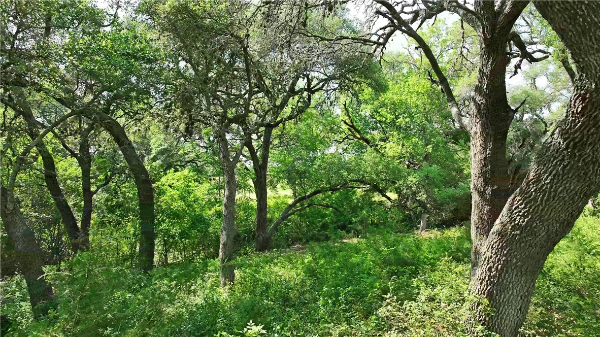 2120 Hohenwalde School Road Brenham, TX 77833 - Photo 24 of 30