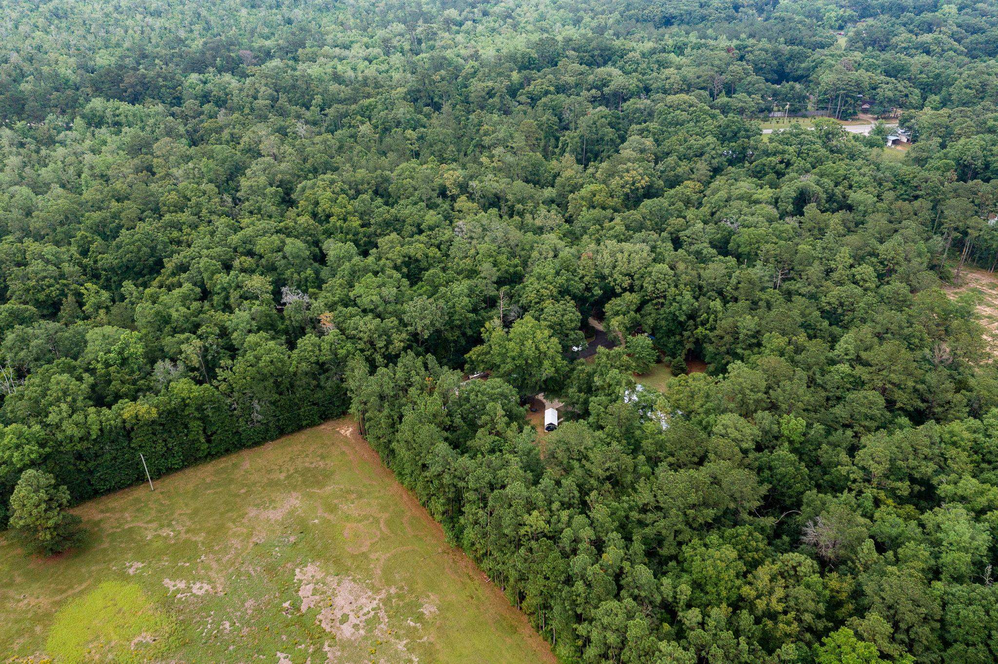 27966 Gus Moore Road Loxley, AL 36551 - Photo 39 of 44
