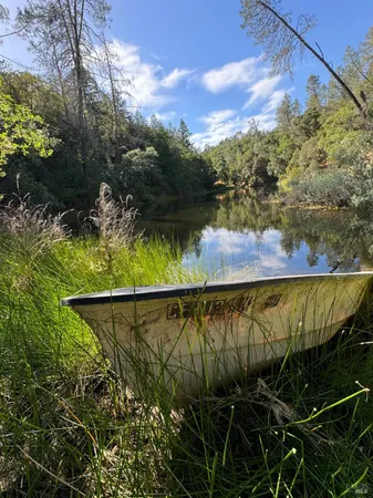 a view of a lake with a yard and large trees