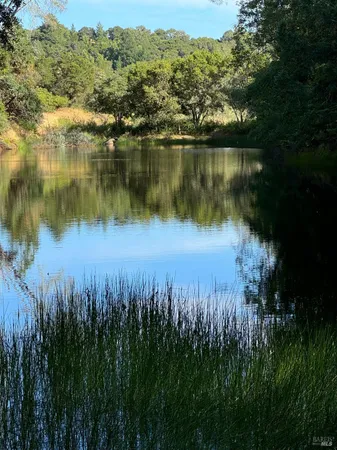 a view of a house with a backyard and trees