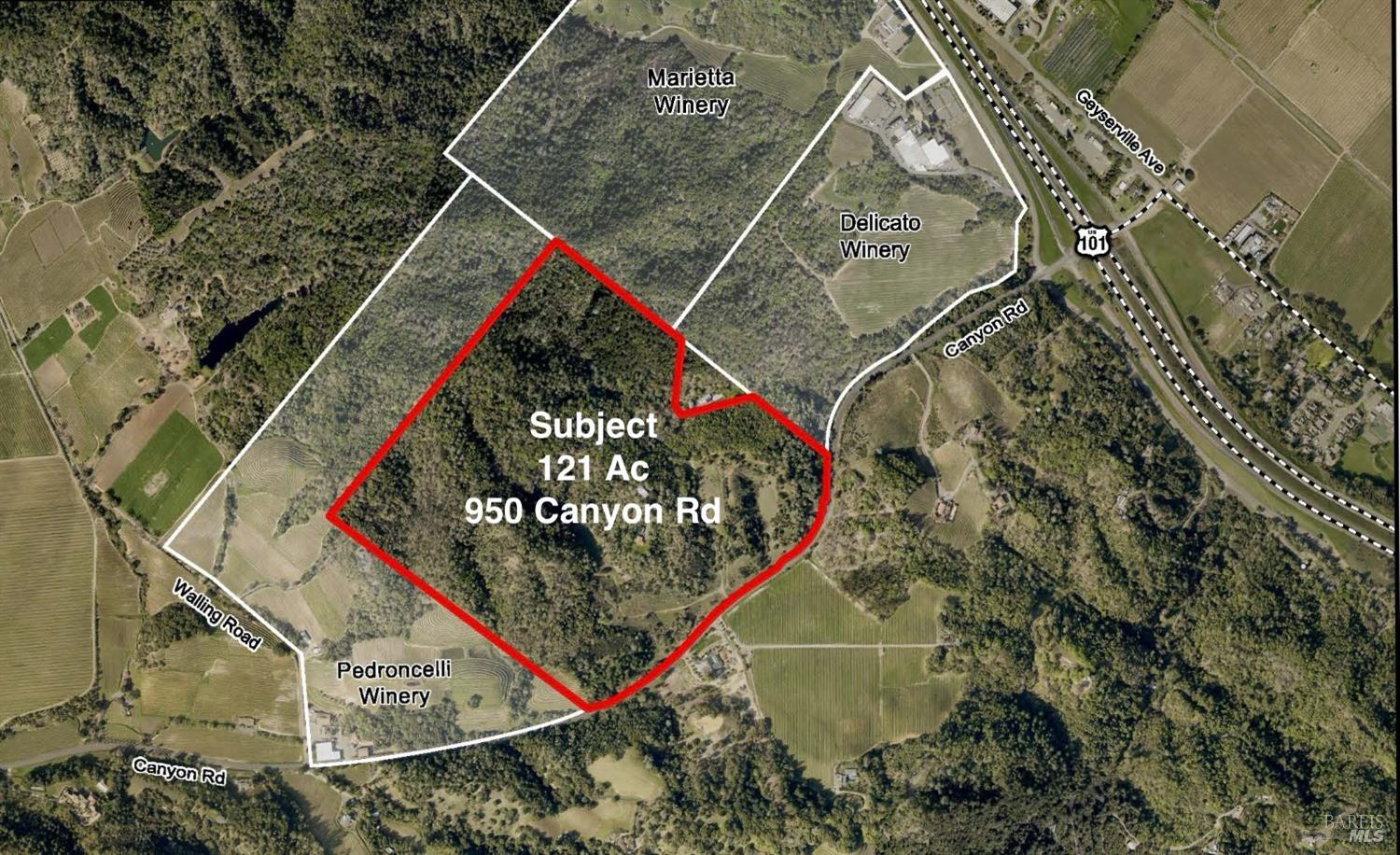 950 Canyon Road Geyserville, CA 95441 - Photo 3 of 23