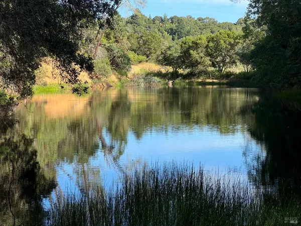 a view of outdoor space yard and front view of a house