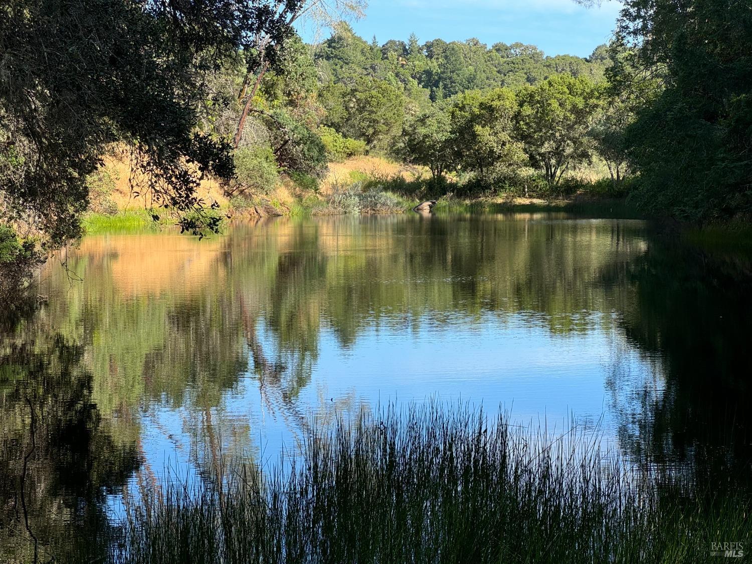 950 Canyon Road Geyserville, CA 95441 - Photo 4 of 23 a lake view