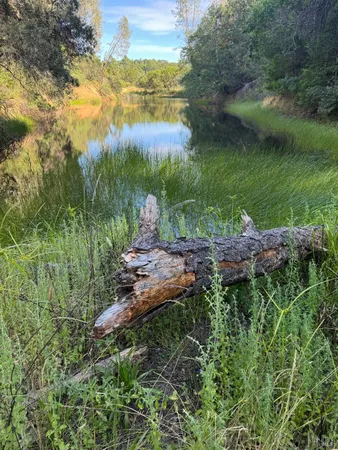 a view of a yard and swimming pool