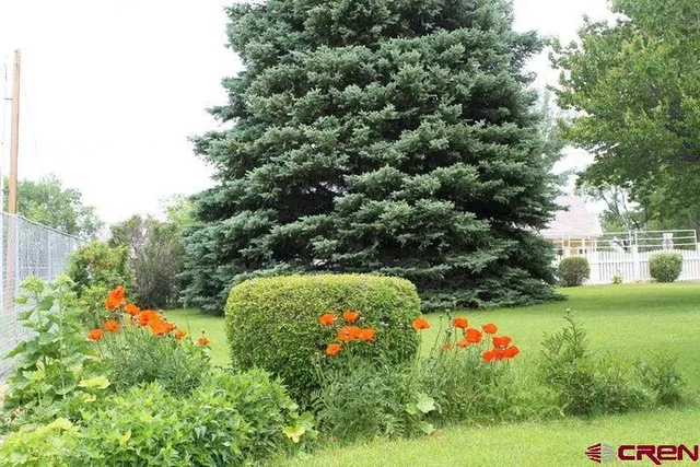 $295,000 | 1596 Naturita Street, Norwood, CO 81423