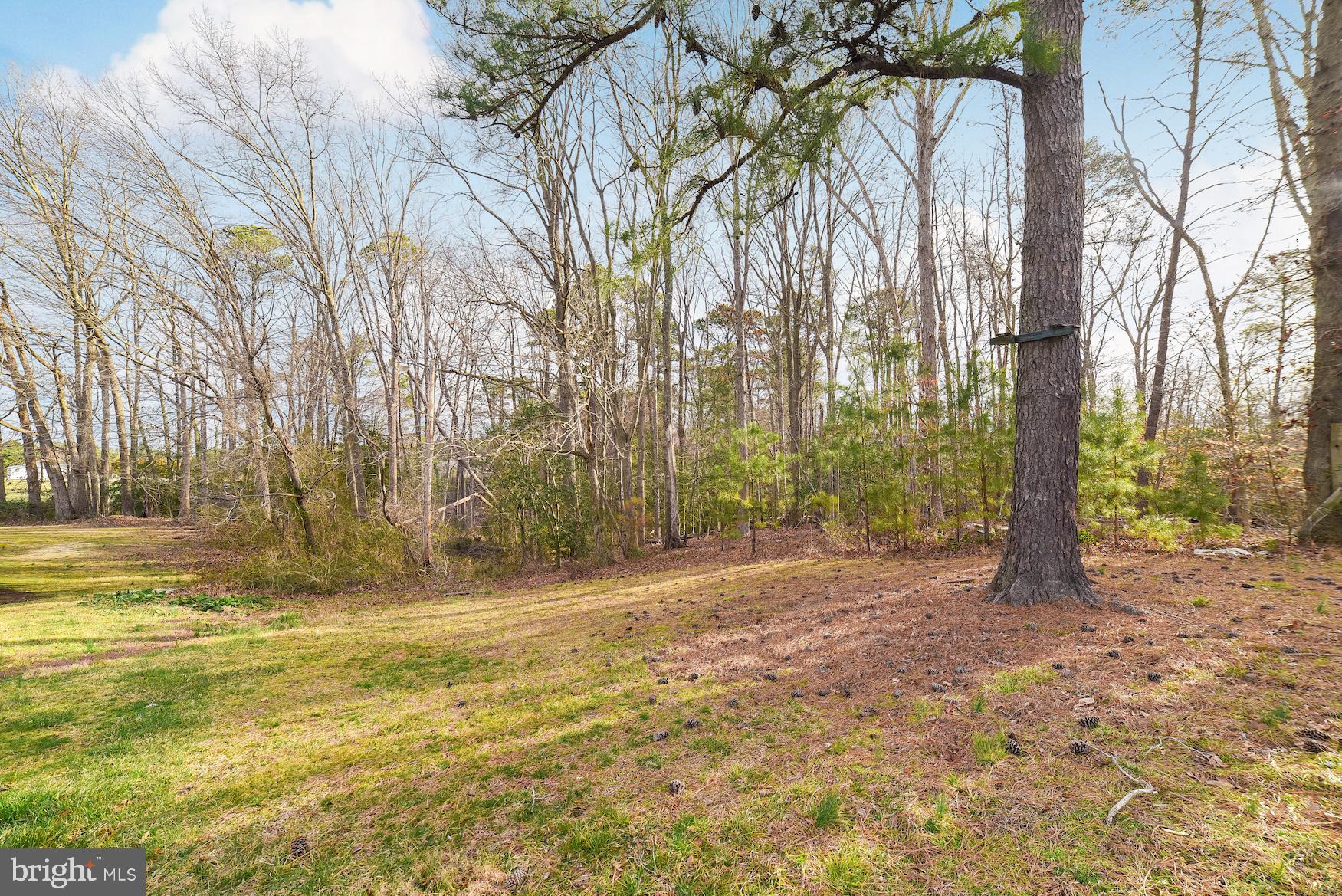 48931 Chisleytown Road St. Inigoes, MD 20684 - Photo 35 of 36 Large side yard