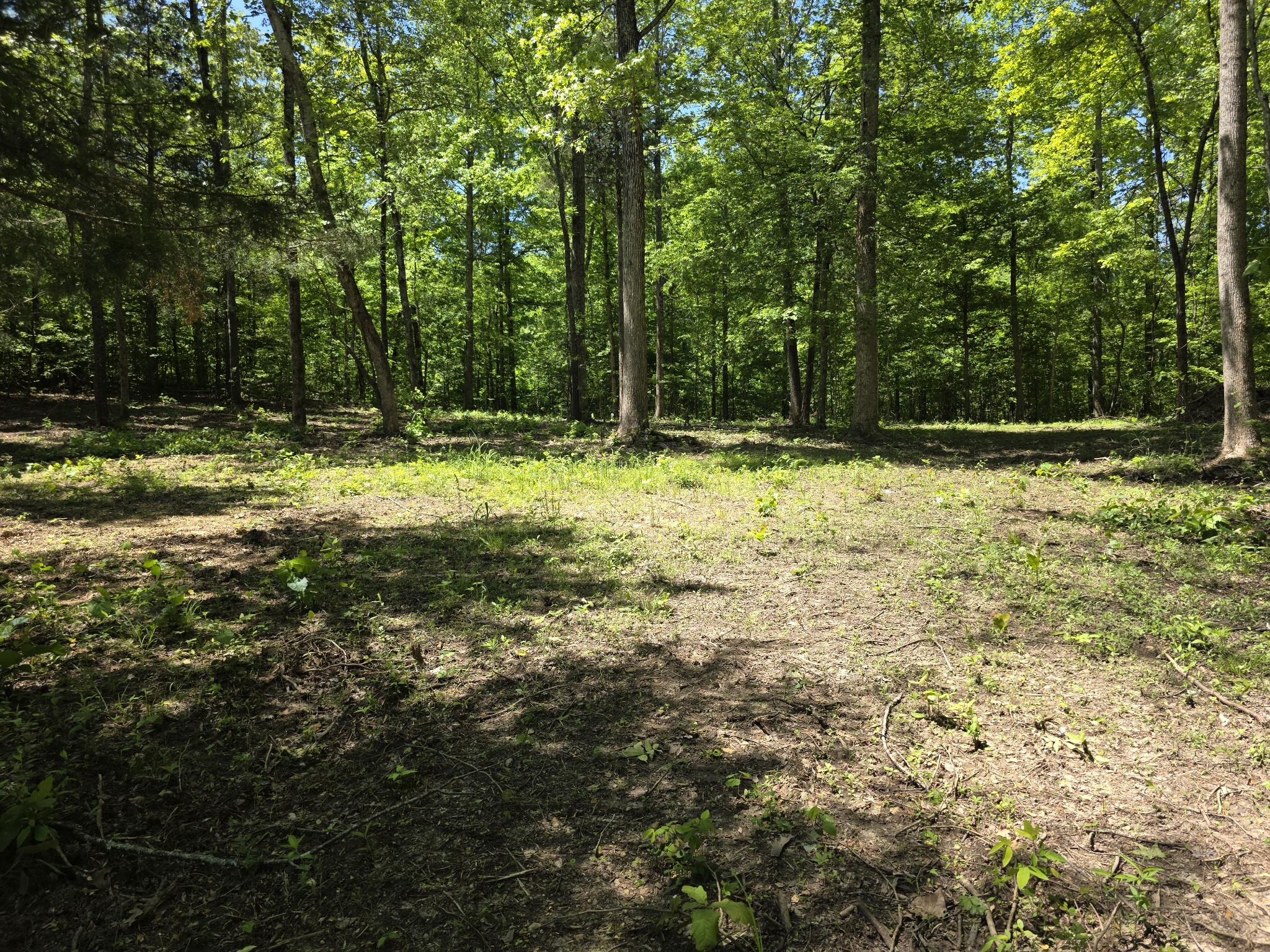 0 Birdsong Road Holladay, TN 38341 - Photo 4 of 29 Gallery Image 4