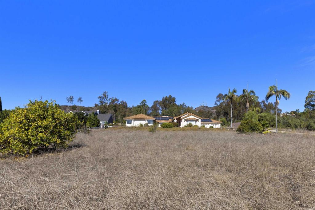 1007 Capra Way Fallbrook, CA 92028 - Photo 6 of 44 a view of a road with a building in the background