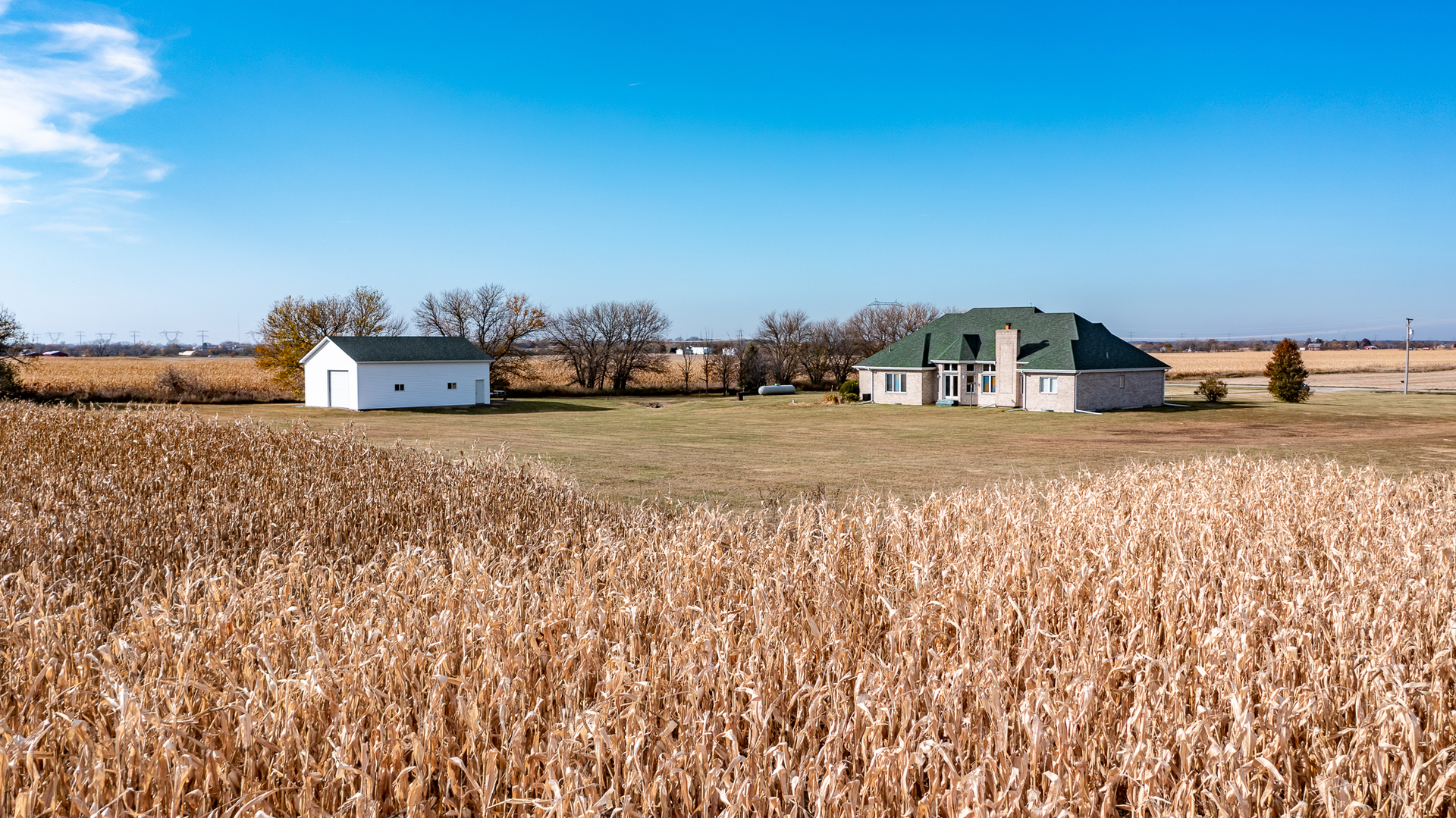 2019 East Kentucky Road Beecher, IL 60401 - Photo 17 of 47 a view of a house with a yard