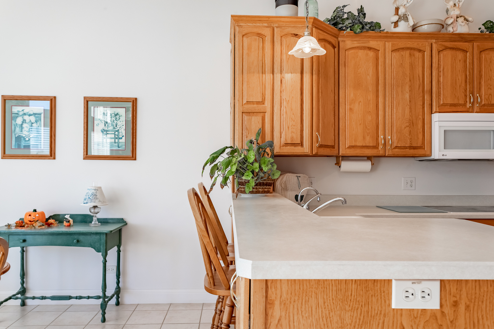 2019 East Kentucky Road Beecher, IL 60401 - Photo 35 of 47 a bathroom with a sink a mirror and a potted plant