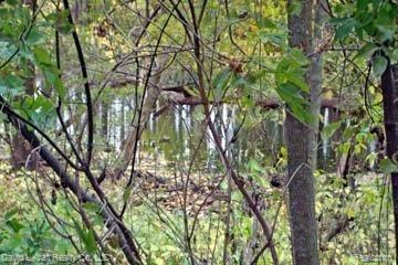 7691 Pigeon Road Pigeon, MI 48755 - Photo 23 of 23 7691PigeonRiver.jpg