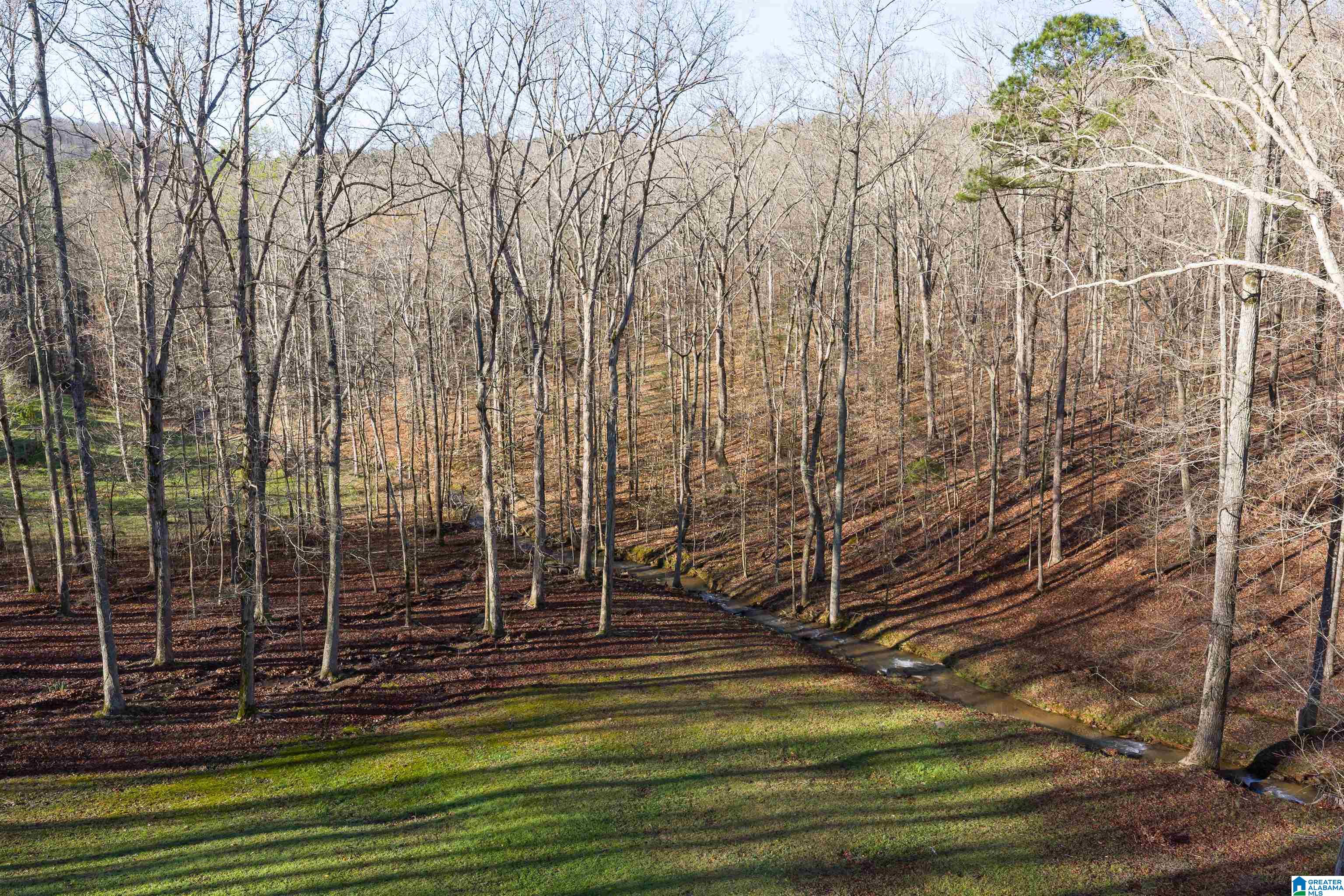 8560 Pine Mountain Road Pinson, AL 35126 - Photo 44 of 59