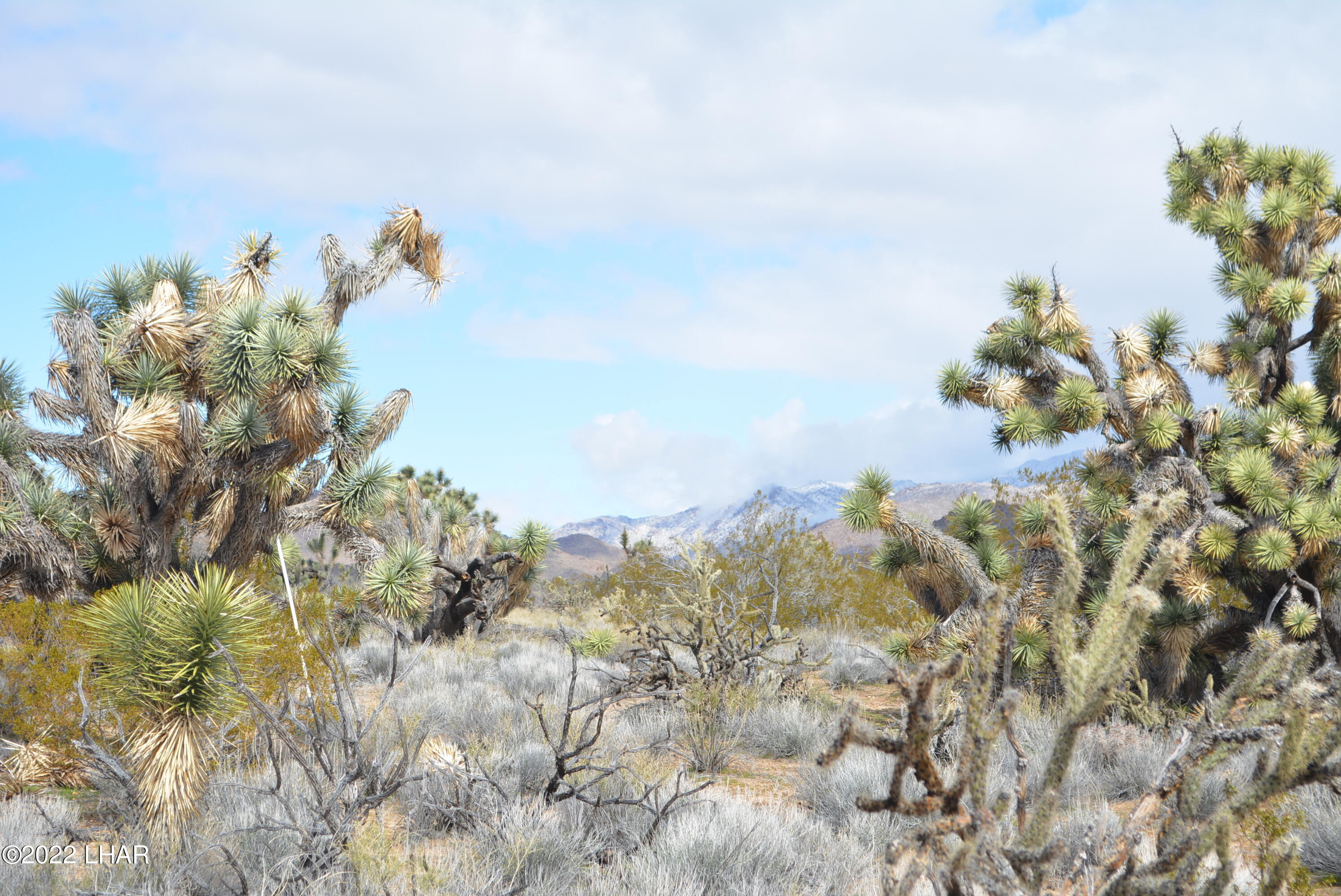 218 South Rawhide Road Yucca, AZ 86438 - Photo 11 of 30 DSC_0354