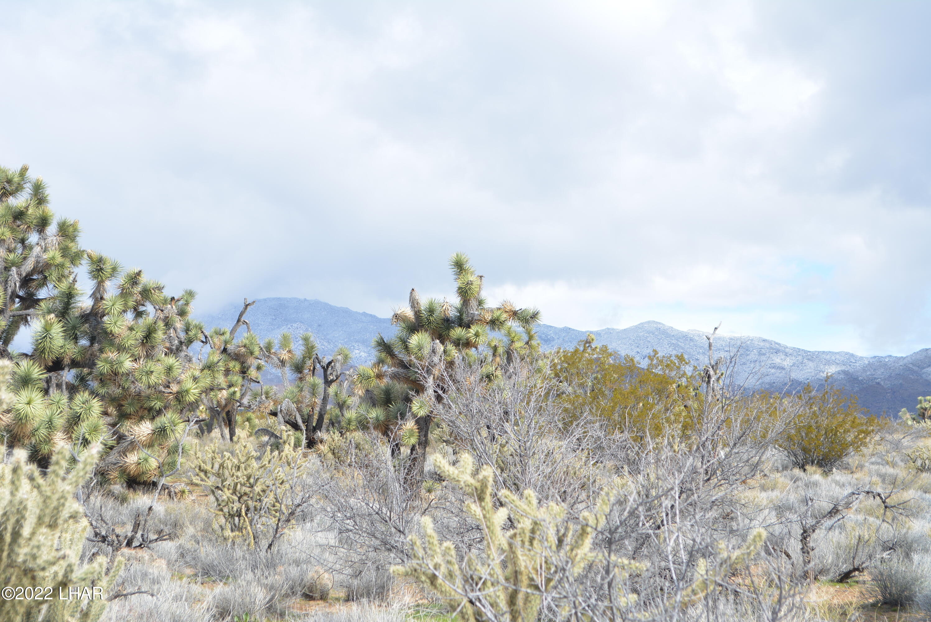218 South Rawhide Road Yucca, AZ 86438 - Photo 12 of 30 DSC_0355