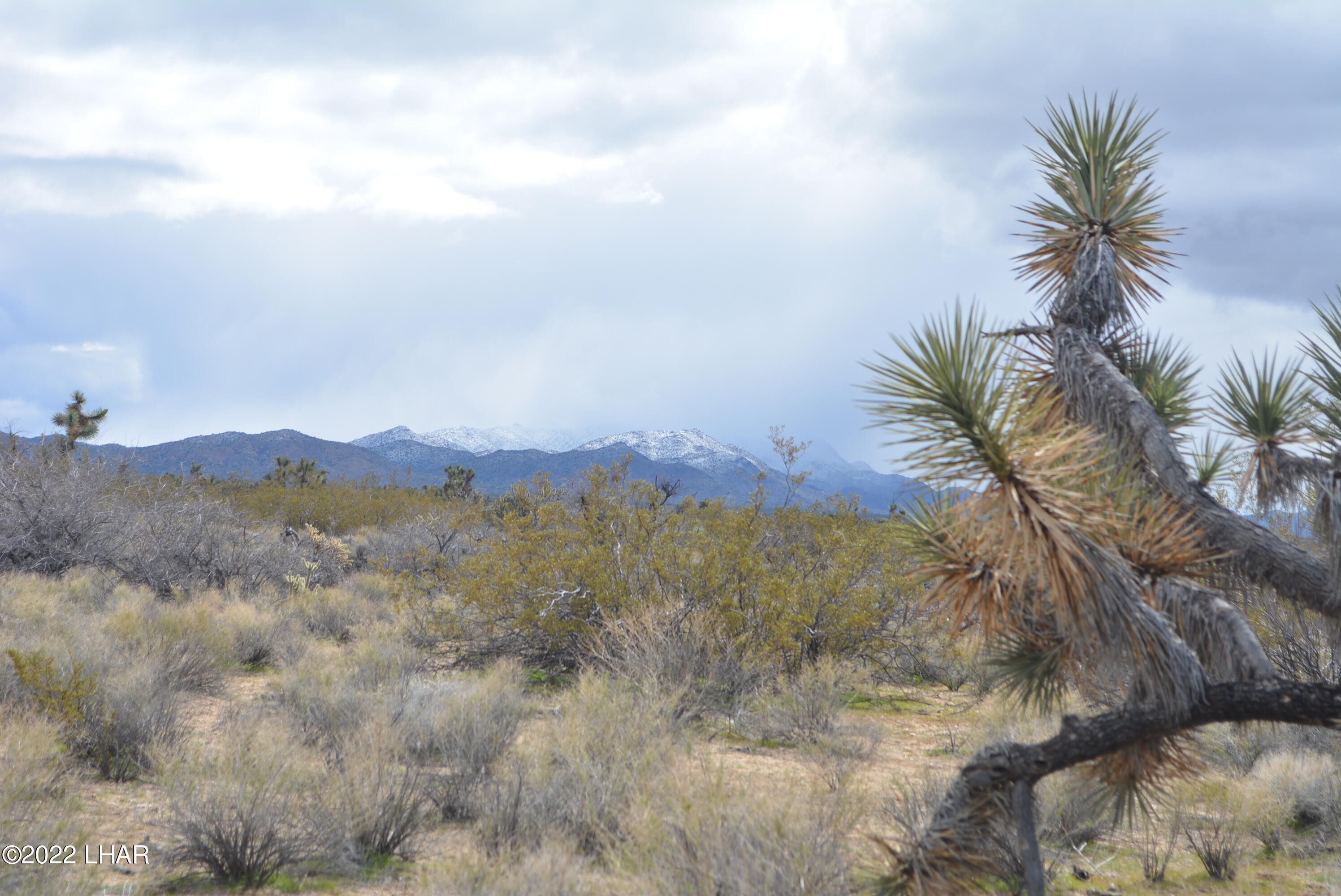 218 South Rawhide Road Yucca, AZ 86438 - Photo 14 of 30 DSC_0357