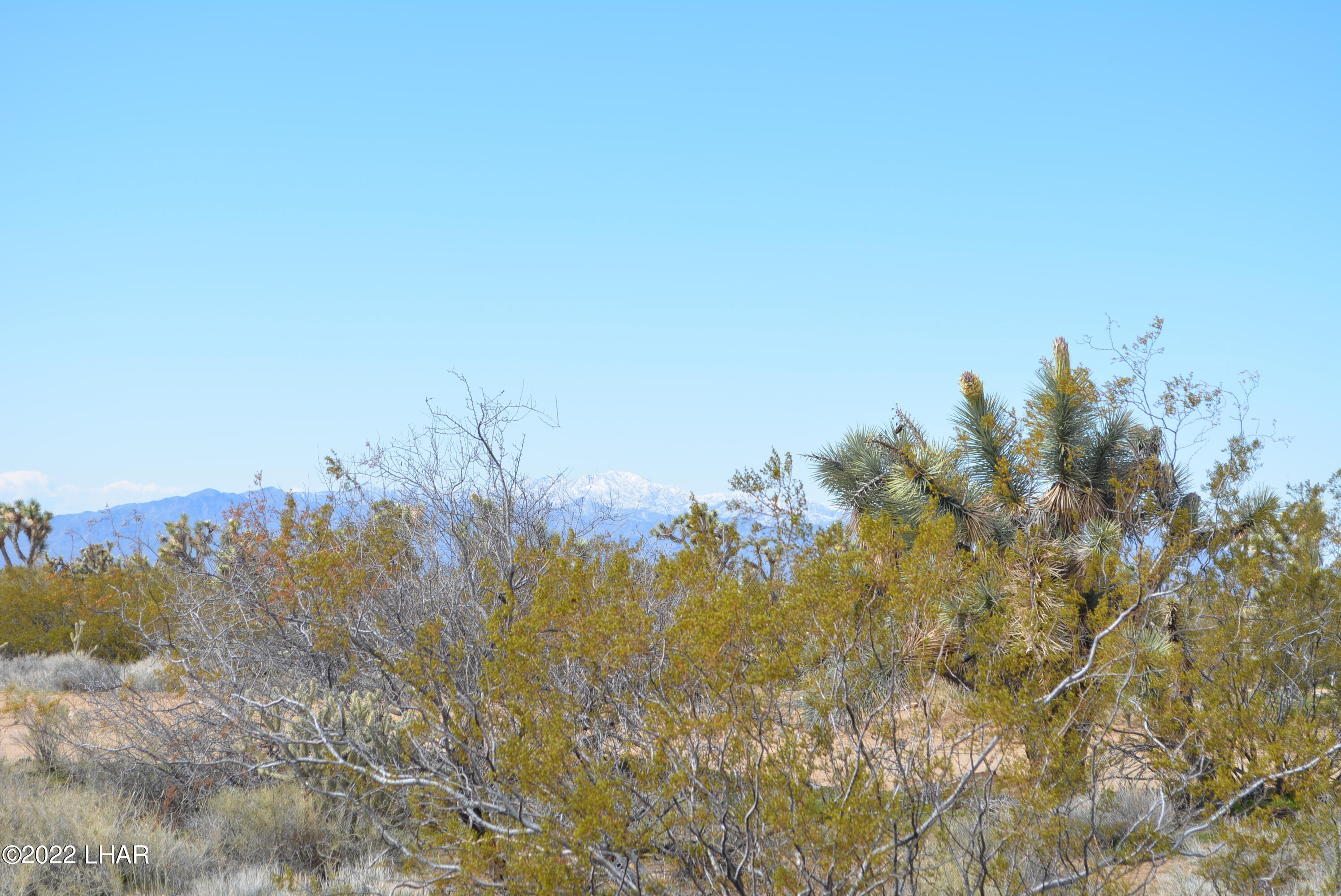 218 South Rawhide Road Yucca, AZ 86438 - Photo 16 of 30 DSC_0358