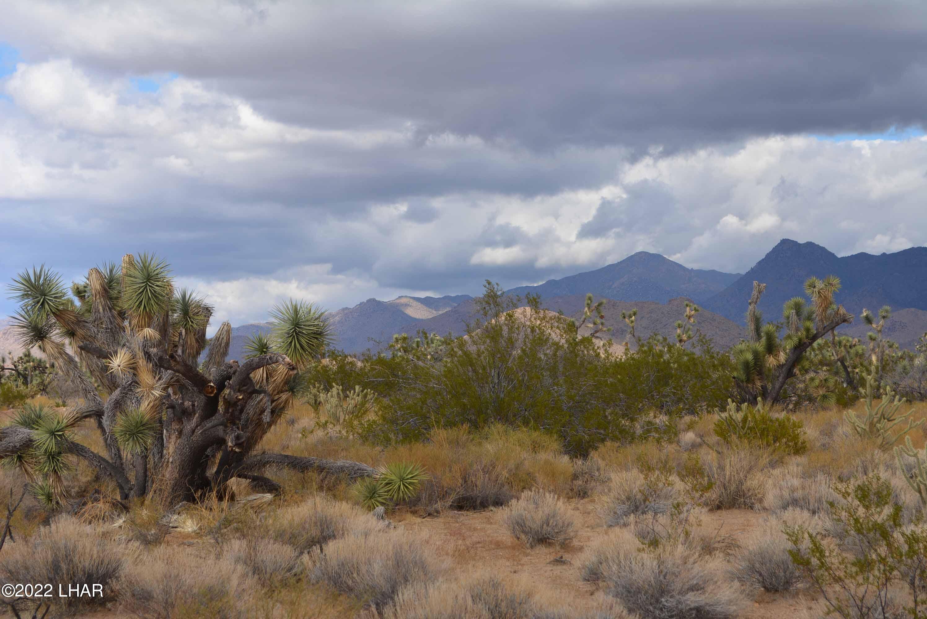 218 South Rawhide Road Yucca, AZ 86438 - Photo 19 of 30 DSC_0040