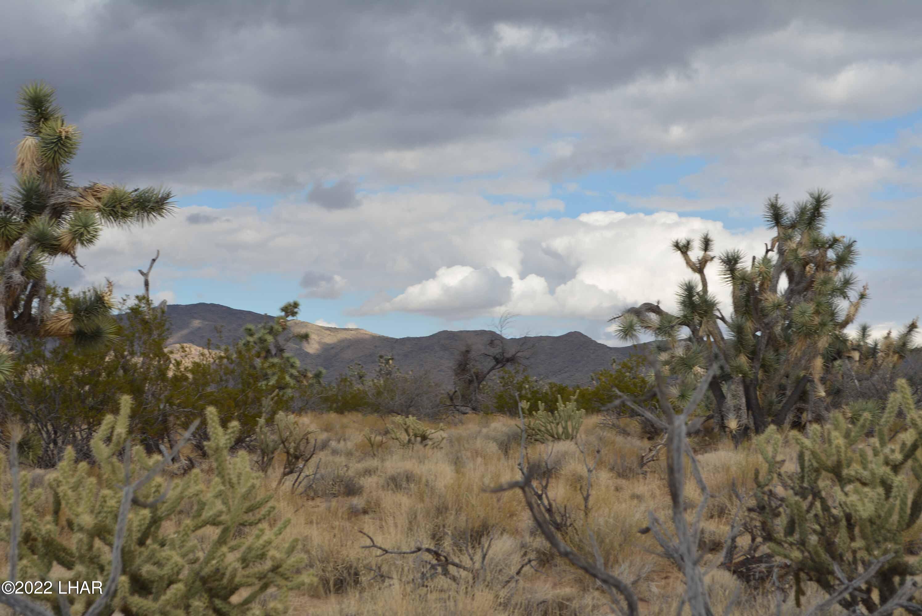 218 South Rawhide Road Yucca, AZ 86438 - Photo 21 of 30 DSC_0042