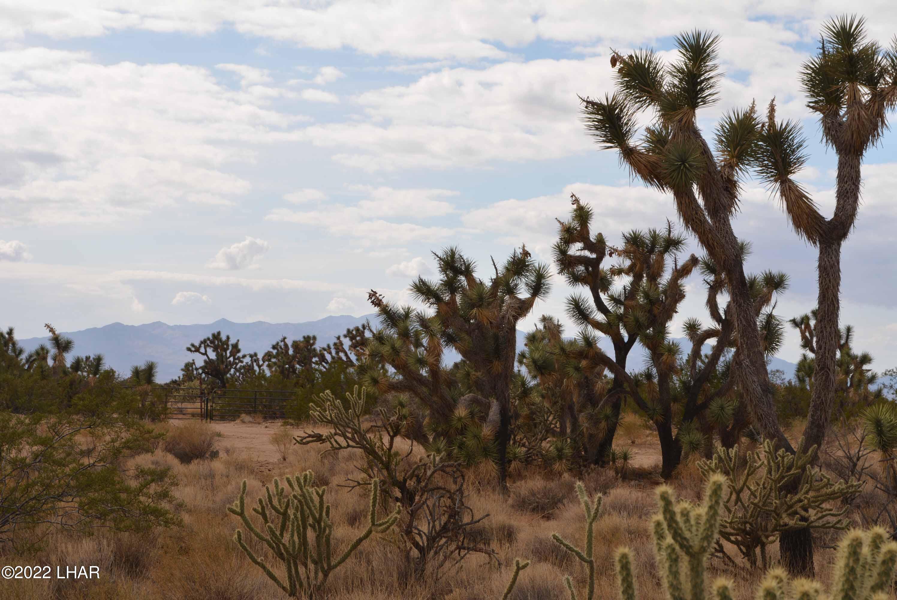 218 South Rawhide Road Yucca, AZ 86438 - Photo 23 of 30 DSC_0044