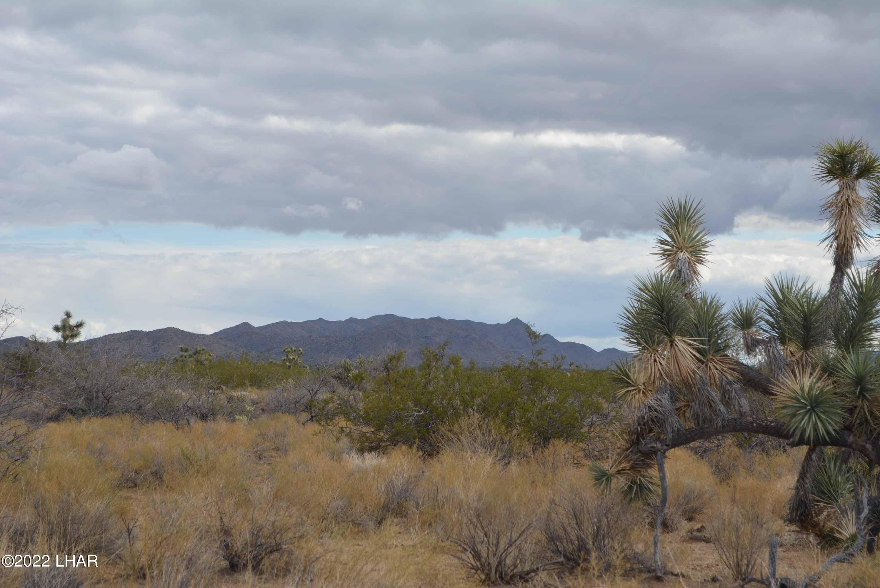 218 South Rawhide Road Yucca, AZ 86438 - Photo 24 of 30 DSC_0045