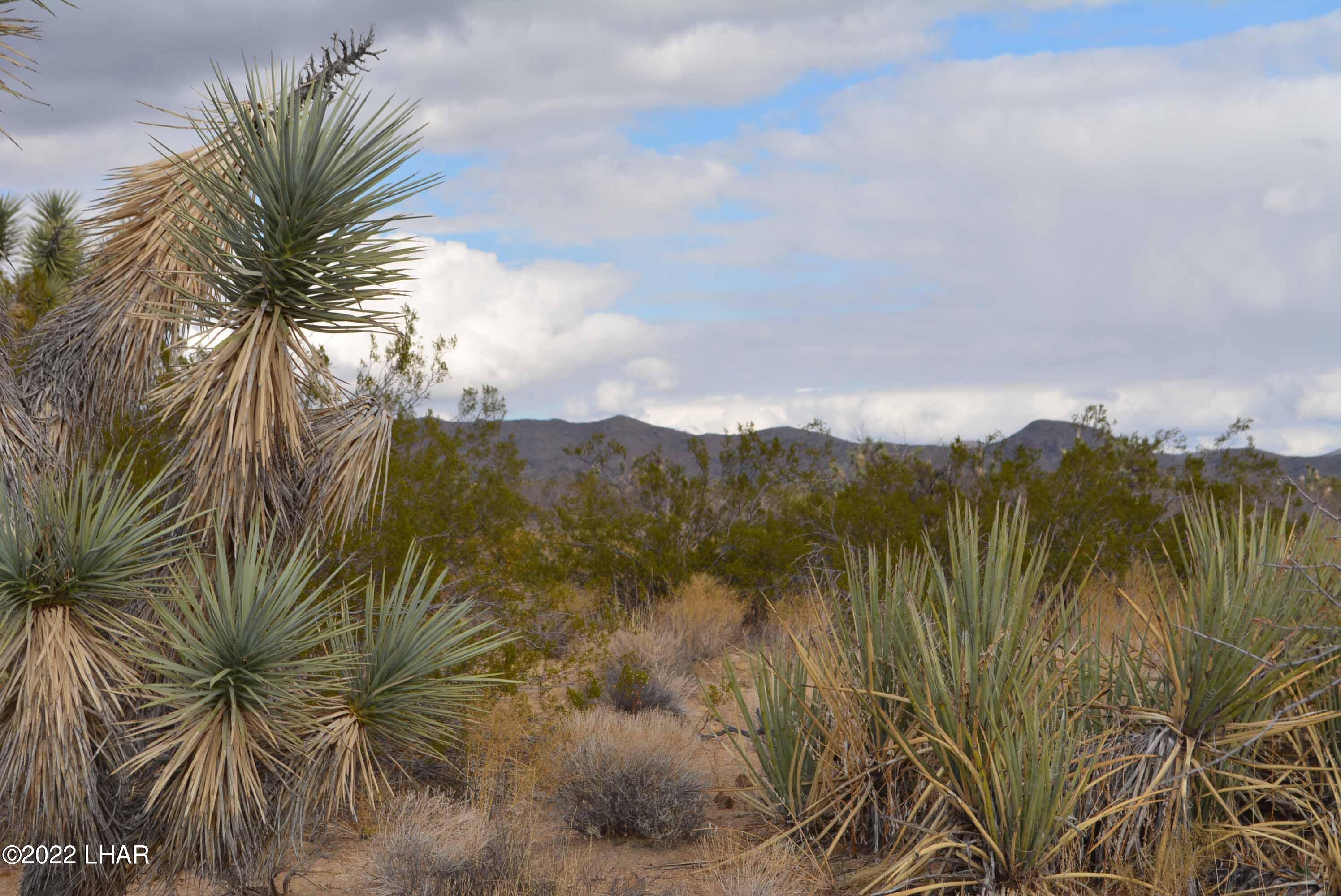 218 South Rawhide Road Yucca, AZ 86438 - Photo 25 of 30 DSC_0046