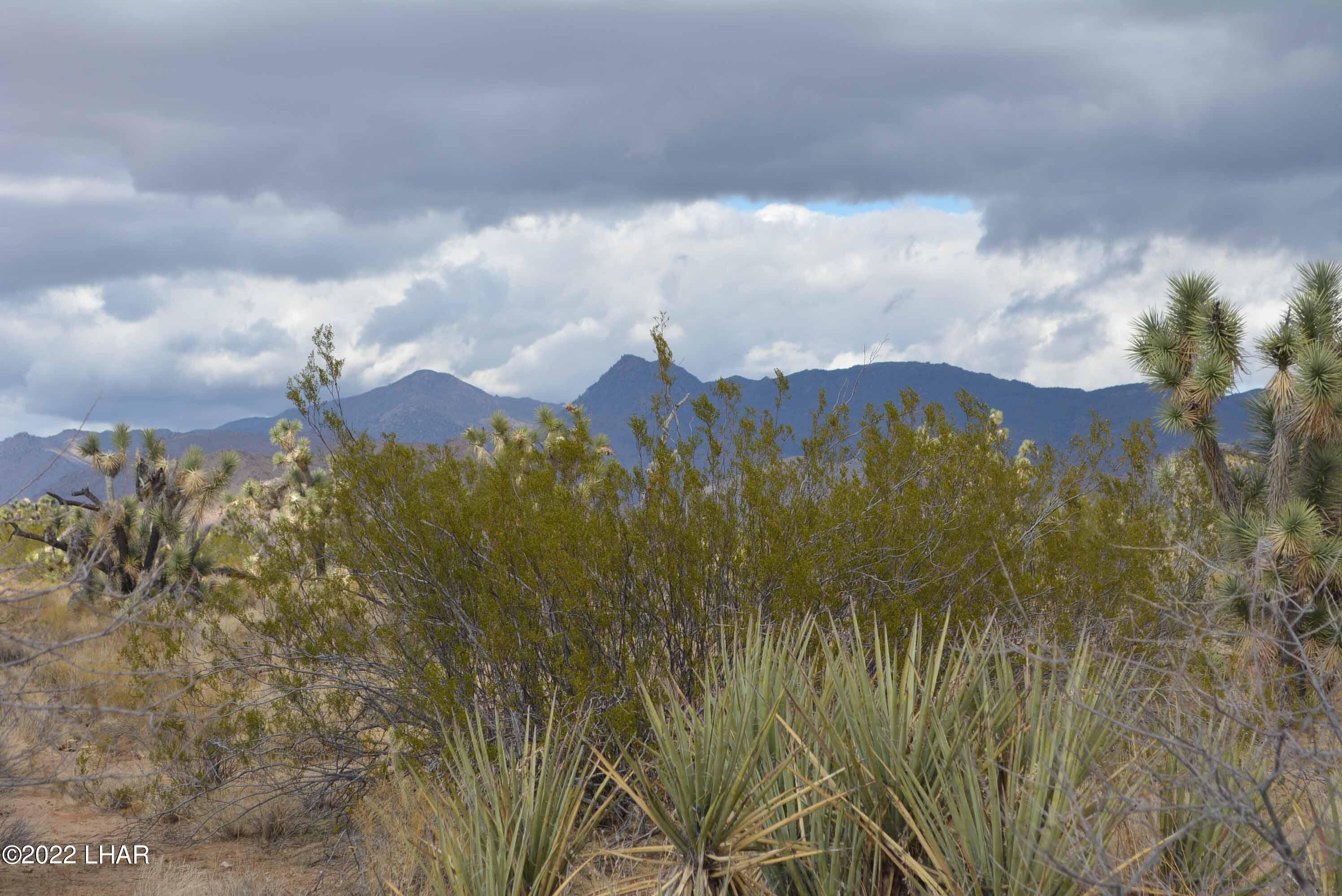218 South Rawhide Road Yucca, AZ 86438 - Photo 26 of 30 DSC_0047