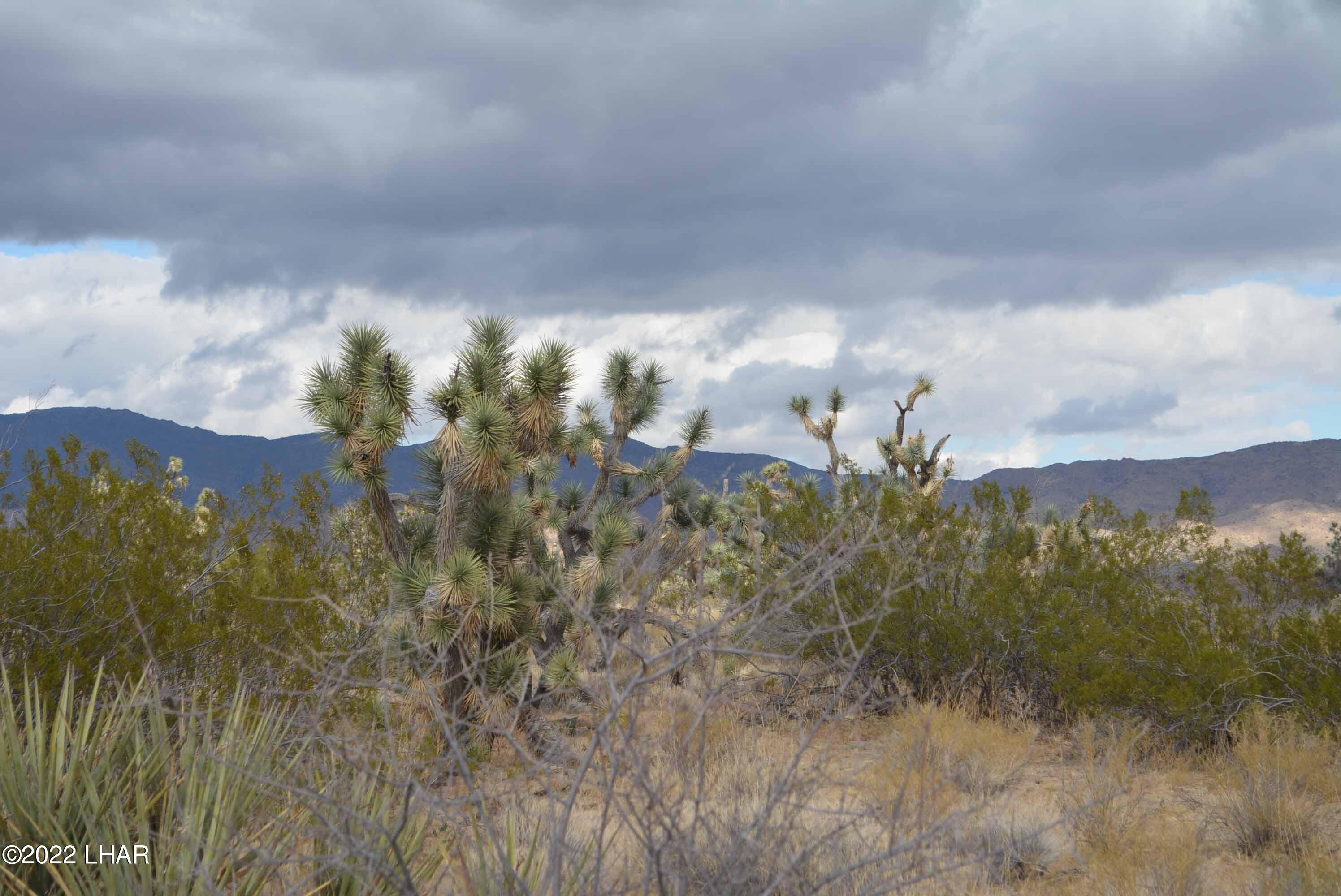 218 South Rawhide Road Yucca, AZ 86438 - Photo 27 of 30 DSC_0048