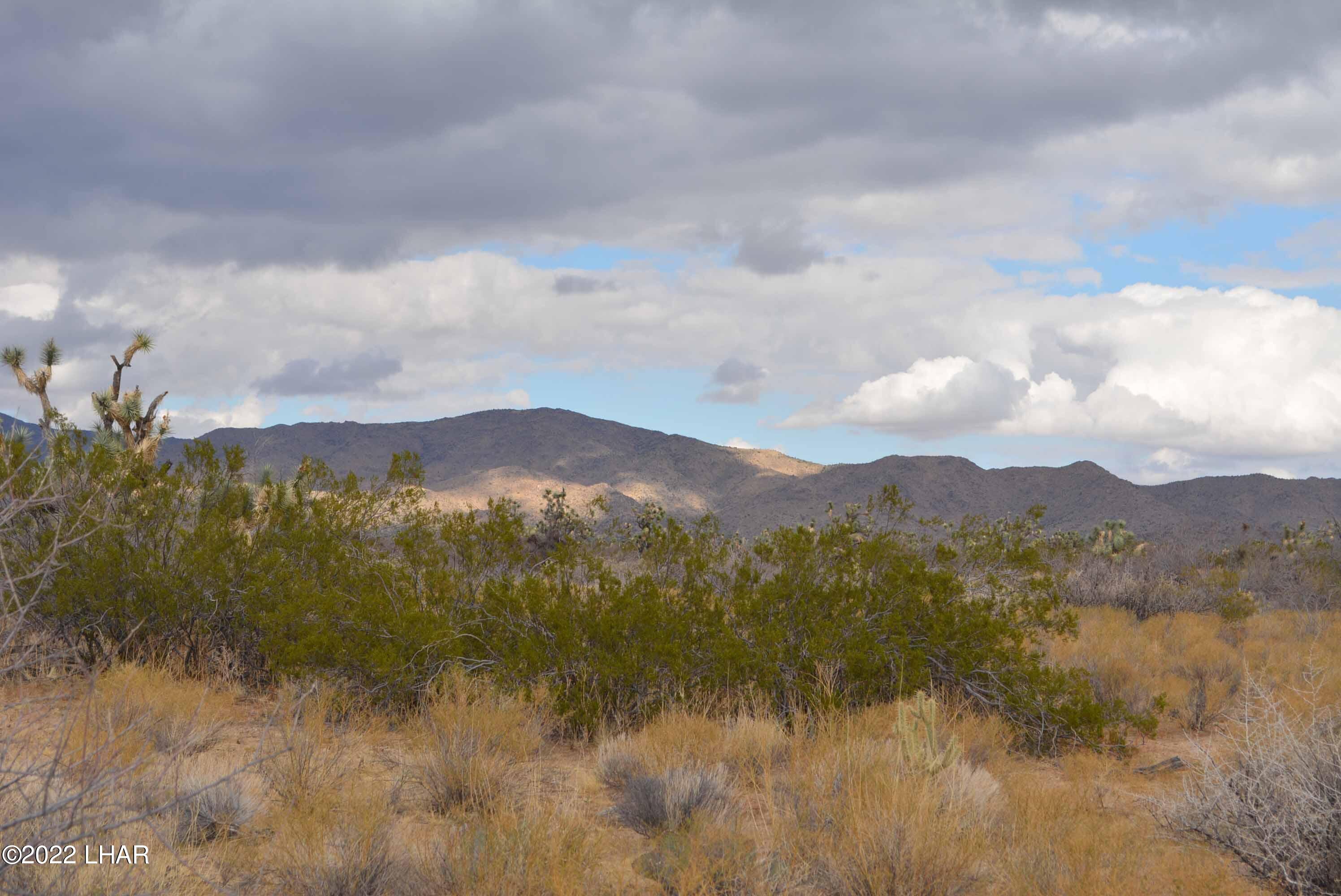 218 South Rawhide Road Yucca, AZ 86438 - Photo 28 of 30 DSC_0049