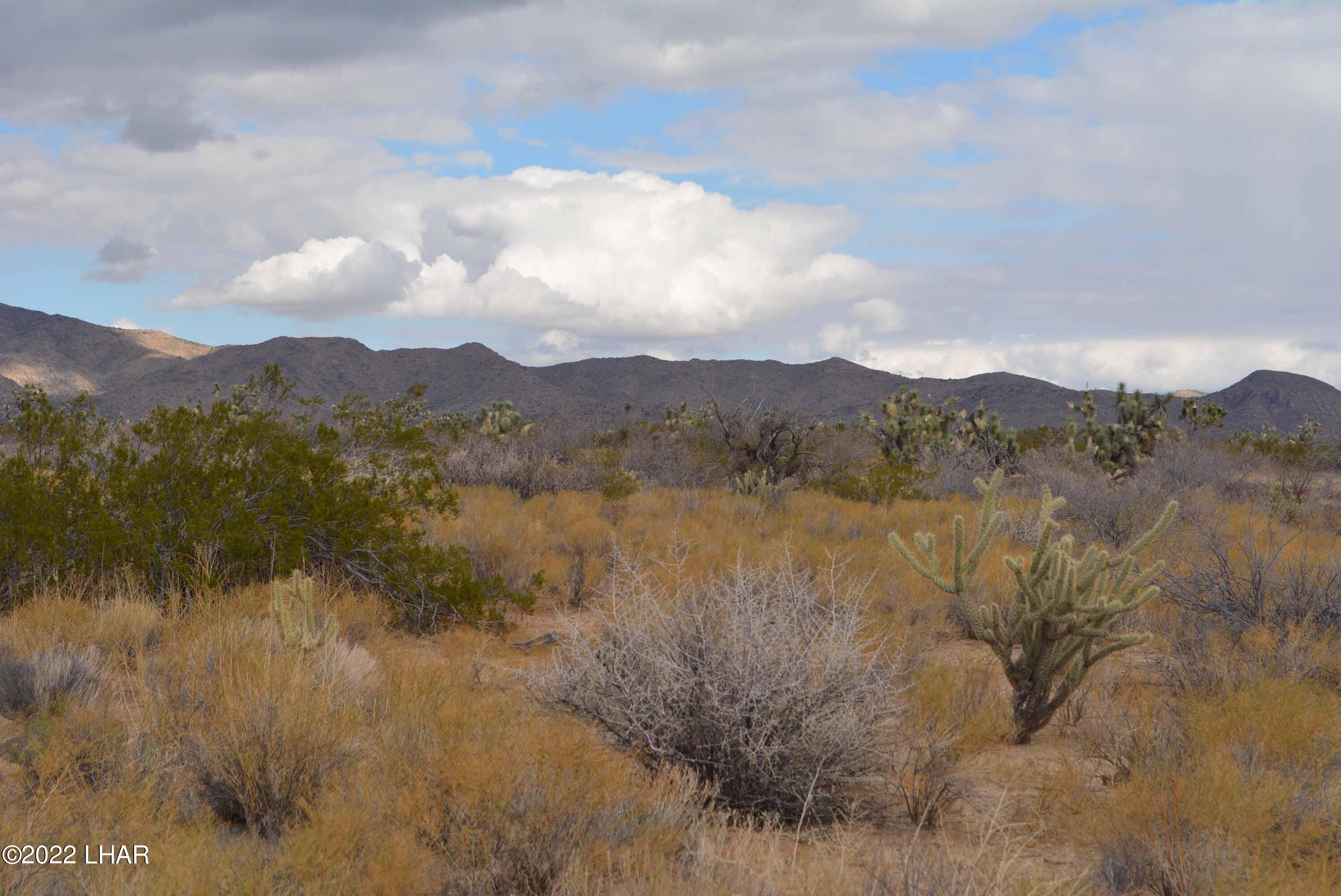 218 South Rawhide Road Yucca, AZ 86438 - Photo 29 of 30 DSC_0050
