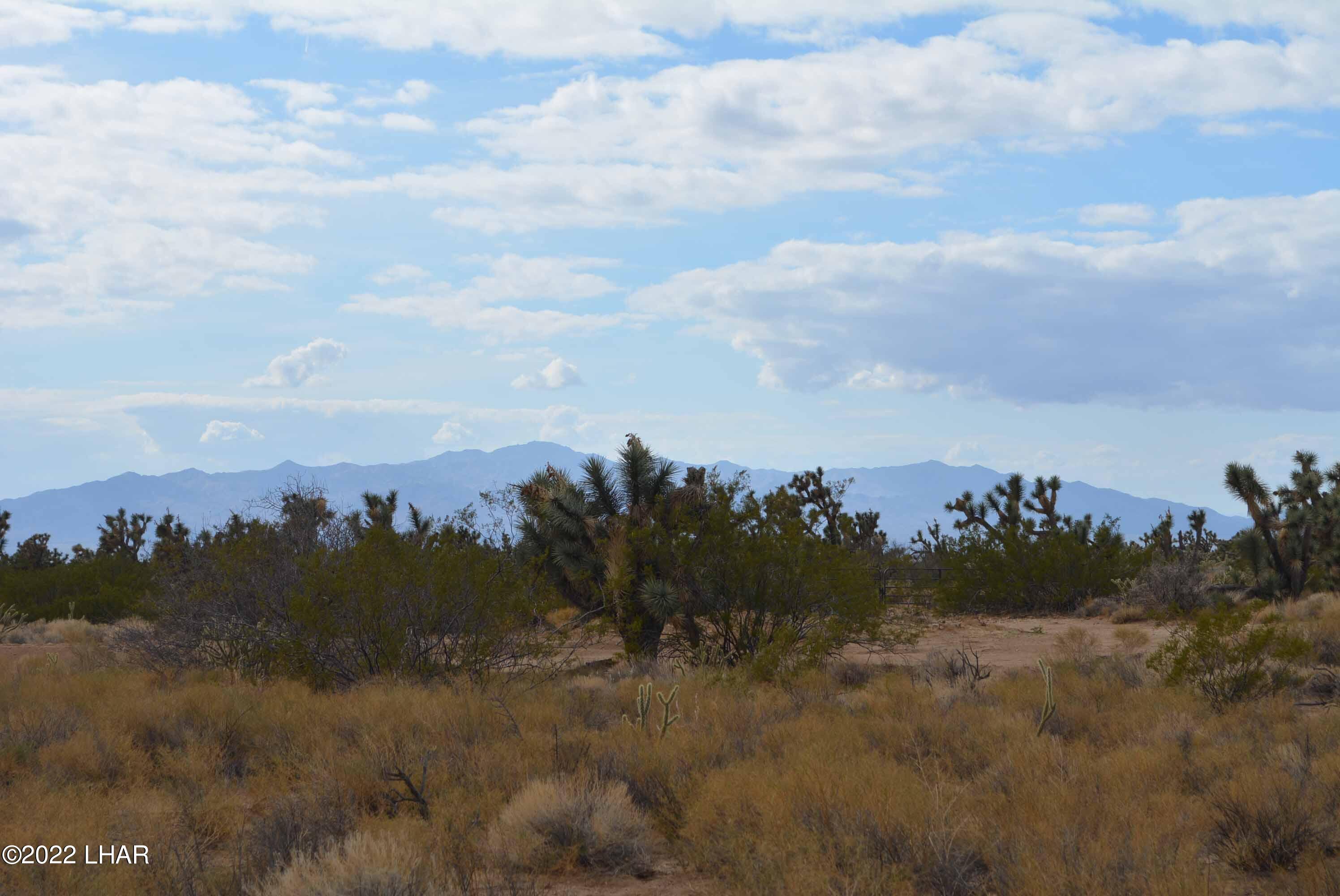 218 South Rawhide Road Yucca, AZ 86438 - Photo 30 of 30 DSC_0052