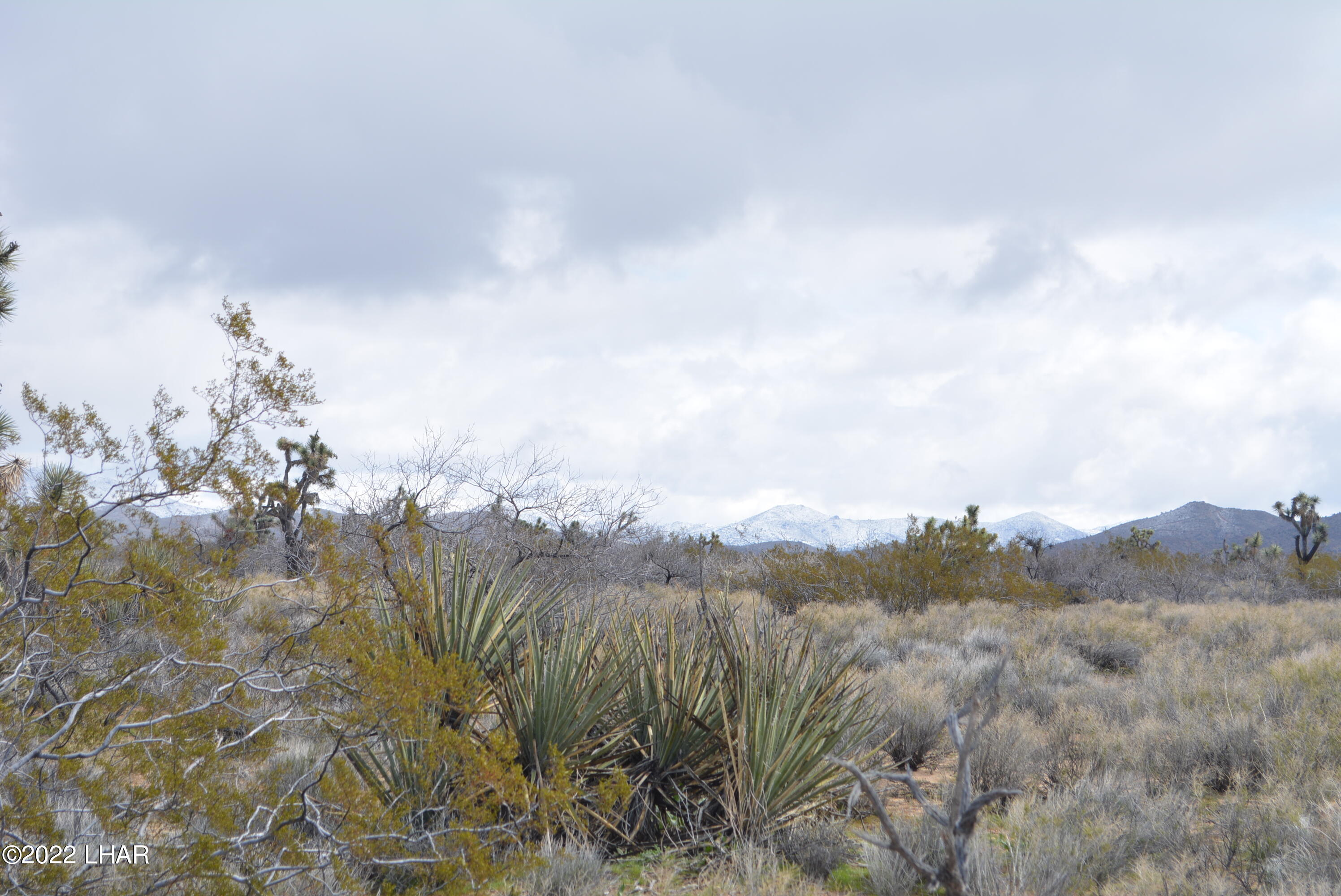 218 South Rawhide Road Yucca, AZ 86438 - Photo 3 of 30 DSC_0346