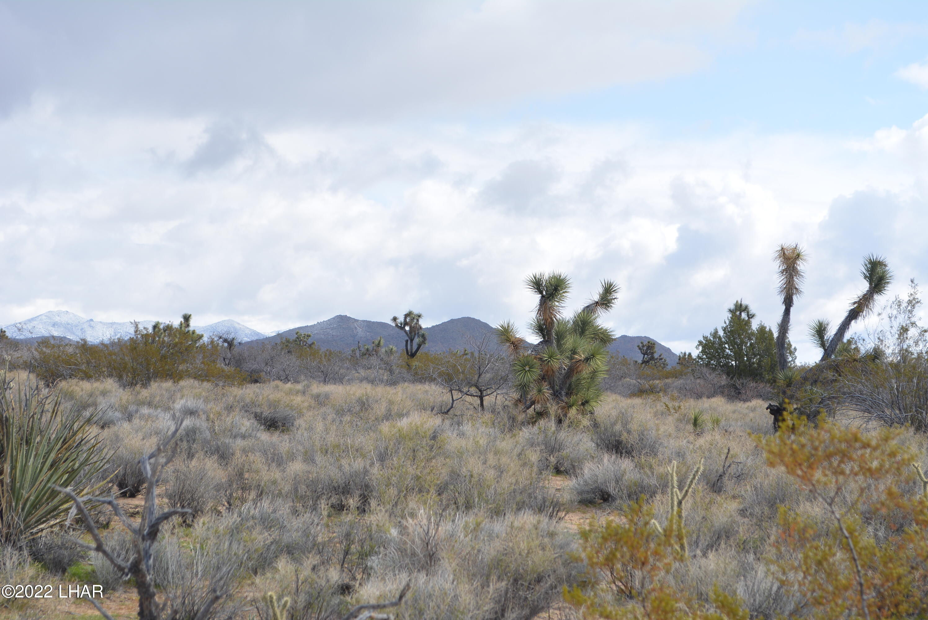 218 South Rawhide Road Yucca, AZ 86438 - Photo 4 of 30 DSC_0347