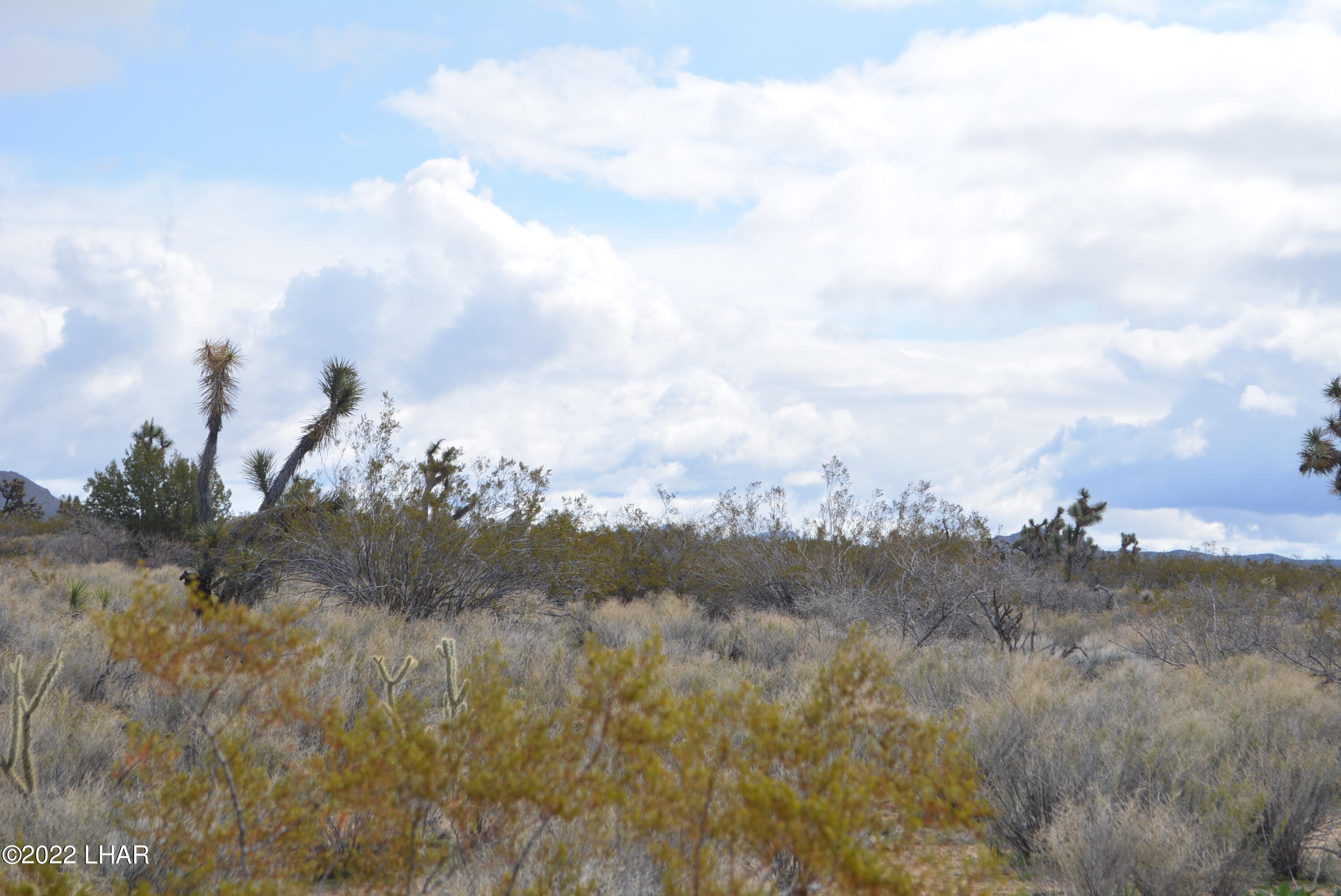 218 South Rawhide Road Yucca, AZ 86438 - Photo 5 of 30 DSC_0348