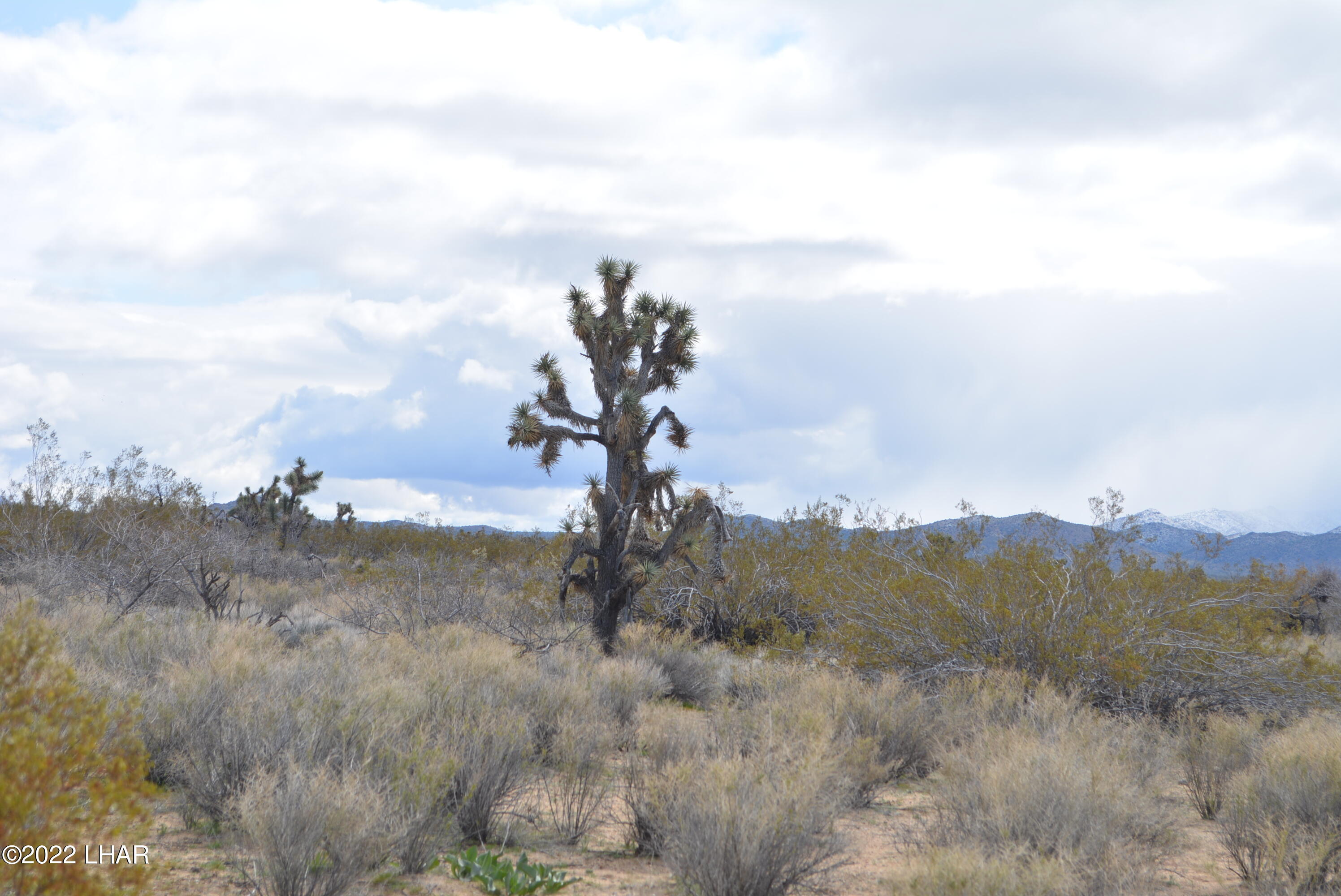 218 South Rawhide Road Yucca, AZ 86438 - Photo 6 of 30 DSC_0349
