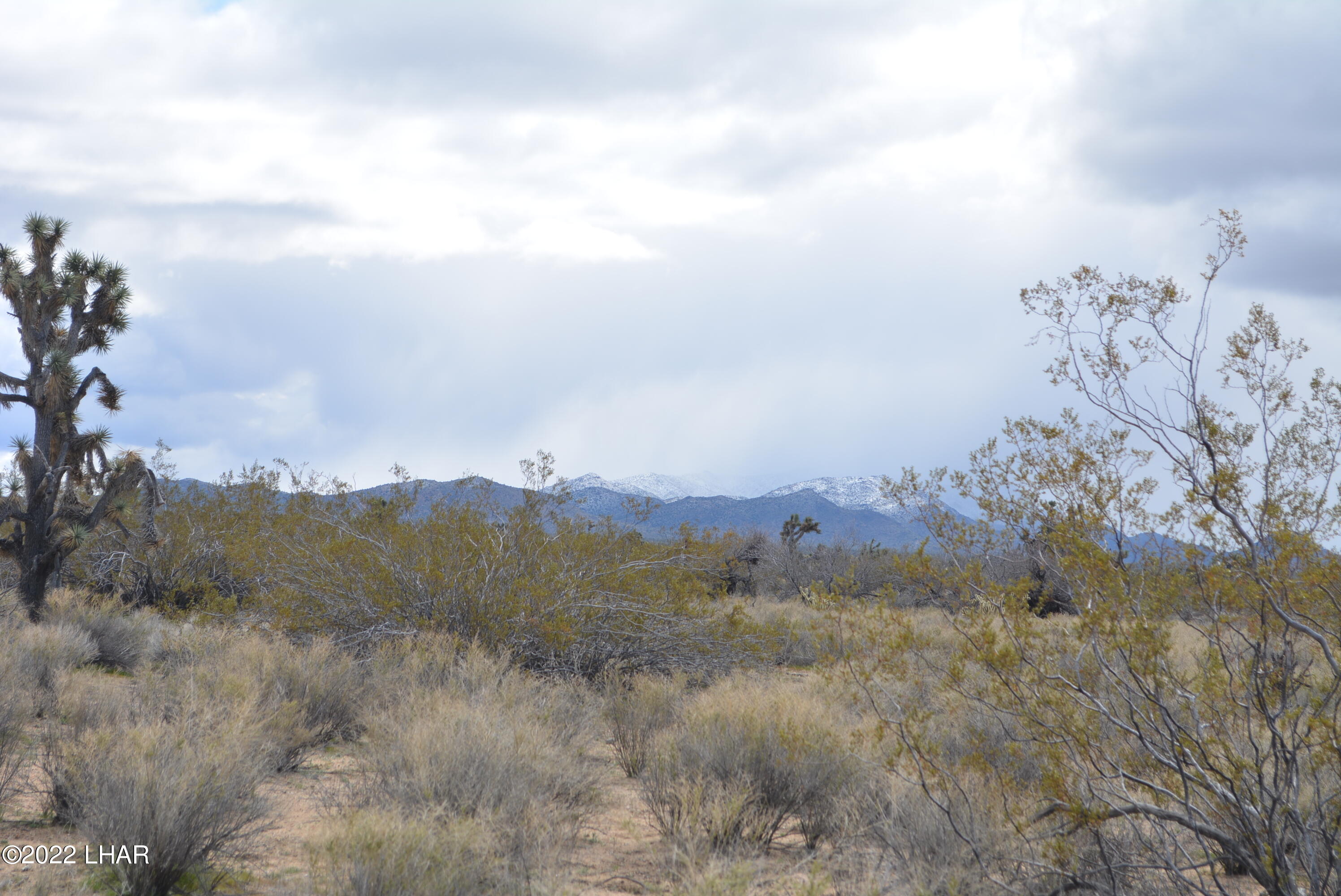 218 South Rawhide Road Yucca, AZ 86438 - Photo 7 of 30 DSC_0350