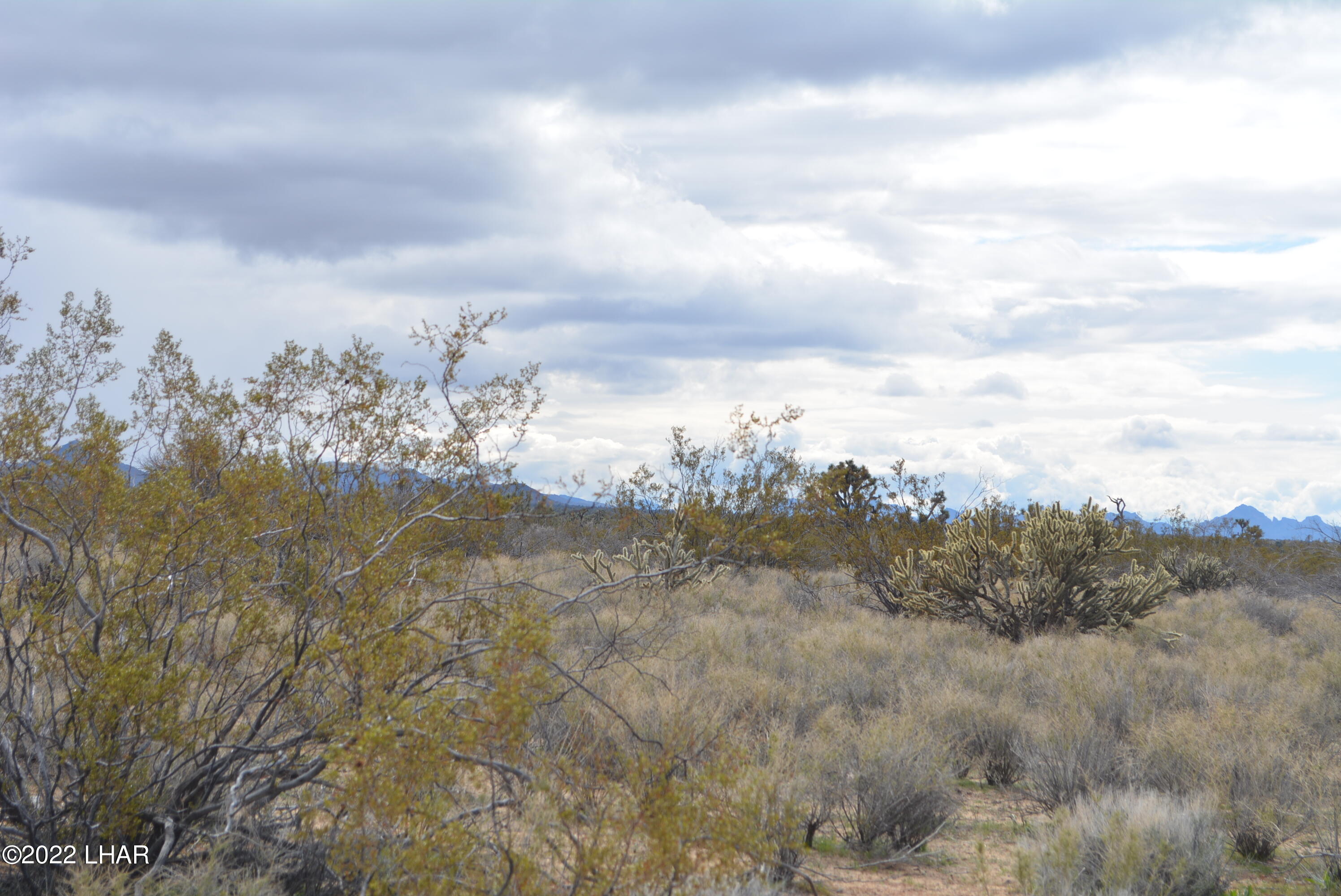 218 South Rawhide Road Yucca, AZ 86438 - Photo 8 of 30 DSC_0351