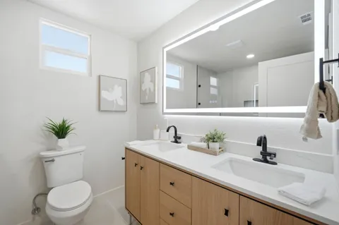 a bathroom with a toilet a sink a mirror and vanity