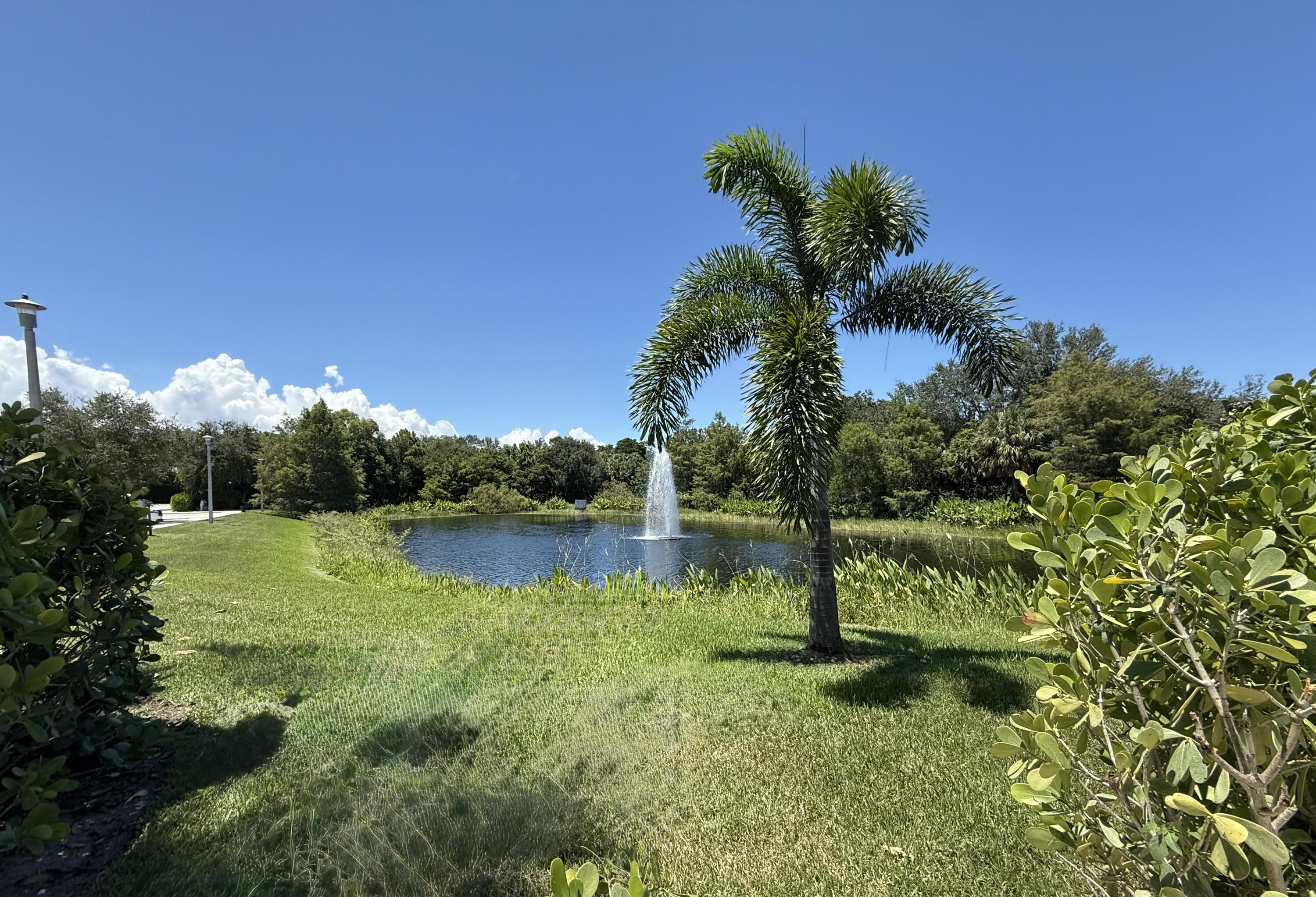 11425 Pointe Midtown Drive Palm Beach Gardens, FL 33418 - Photo 29 of 47 Views from Pool