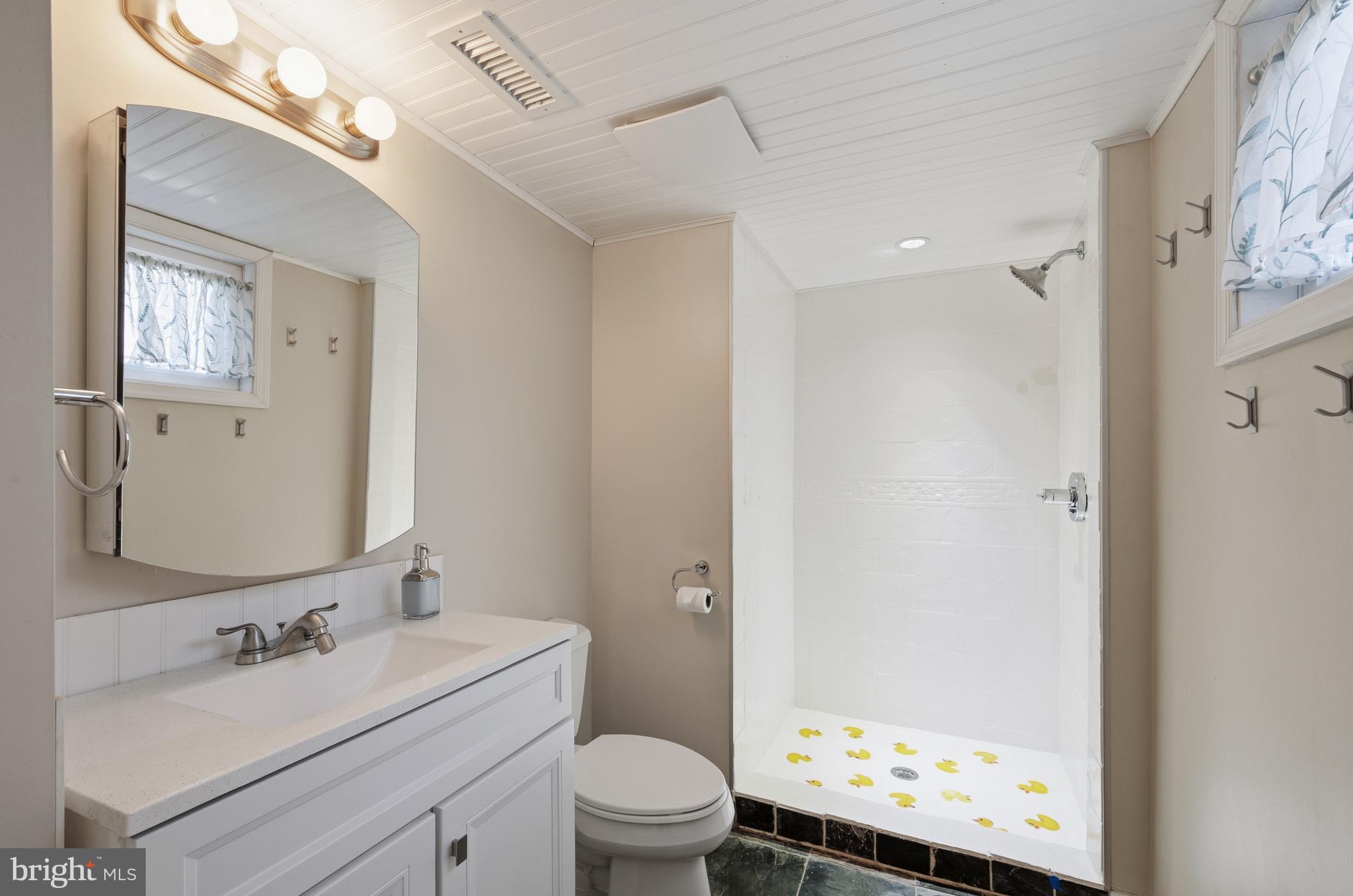 124 Woodland Road Gaithersburg, MD 20877 - Photo 41 of 79 a bathroom with a sink a toilet and shower