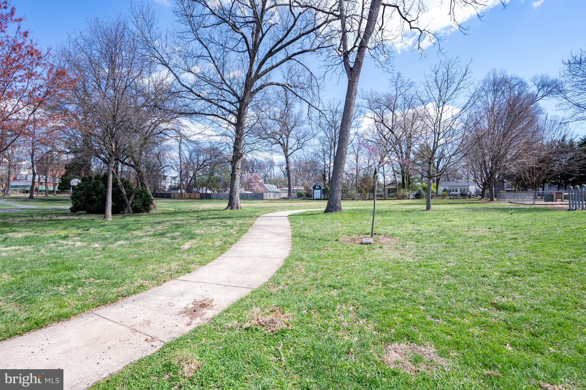 124 Woodland Road Gaithersburg, MD 20877 - Photo 79 of 79 a view of a park with large trees