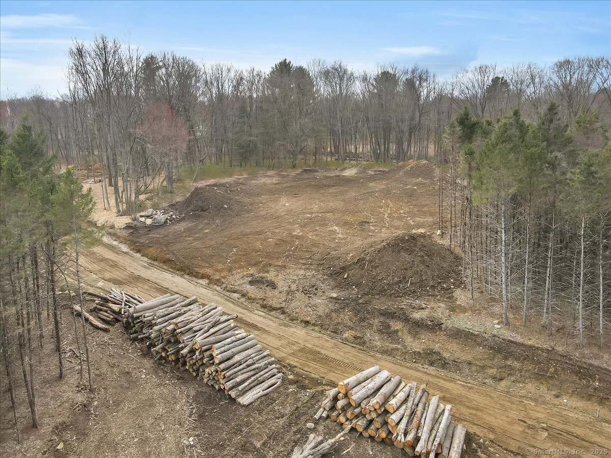 106 South Street Extension Coventry, CT 06238 - Photo 20 of 26 a view of a yard with trees