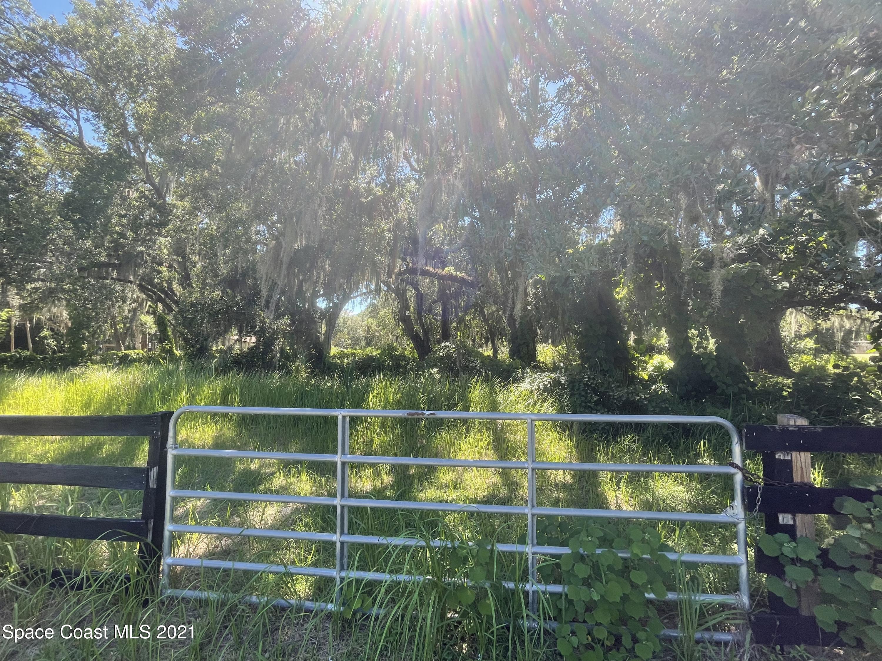 0 Turtle Mound Road Melbourne, FL 32934 - Photo 2 of 9 a view of a yard
