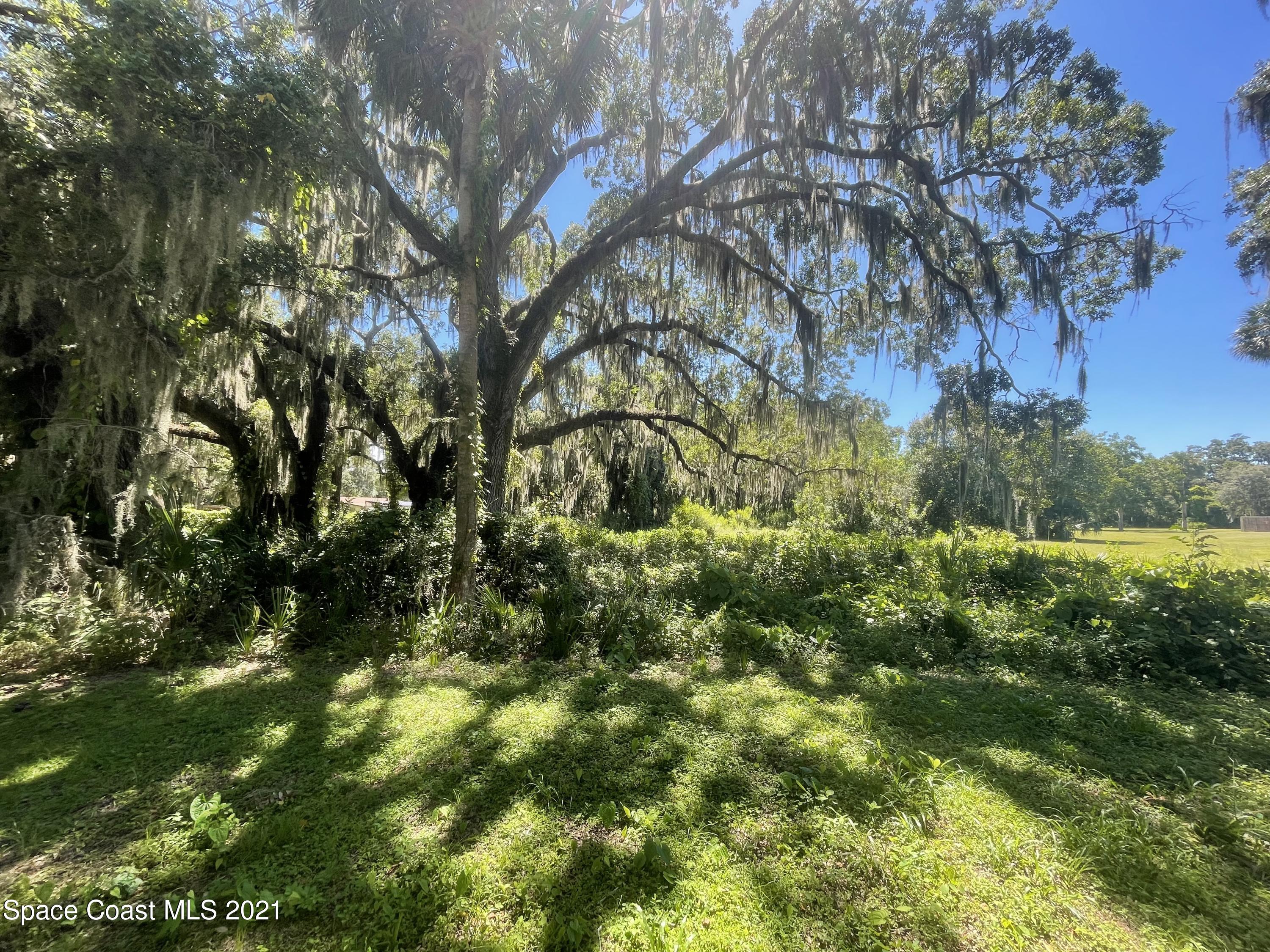 0 Turtle Mound Road Melbourne, FL 32934 - Photo 3 of 9 a view of a yard