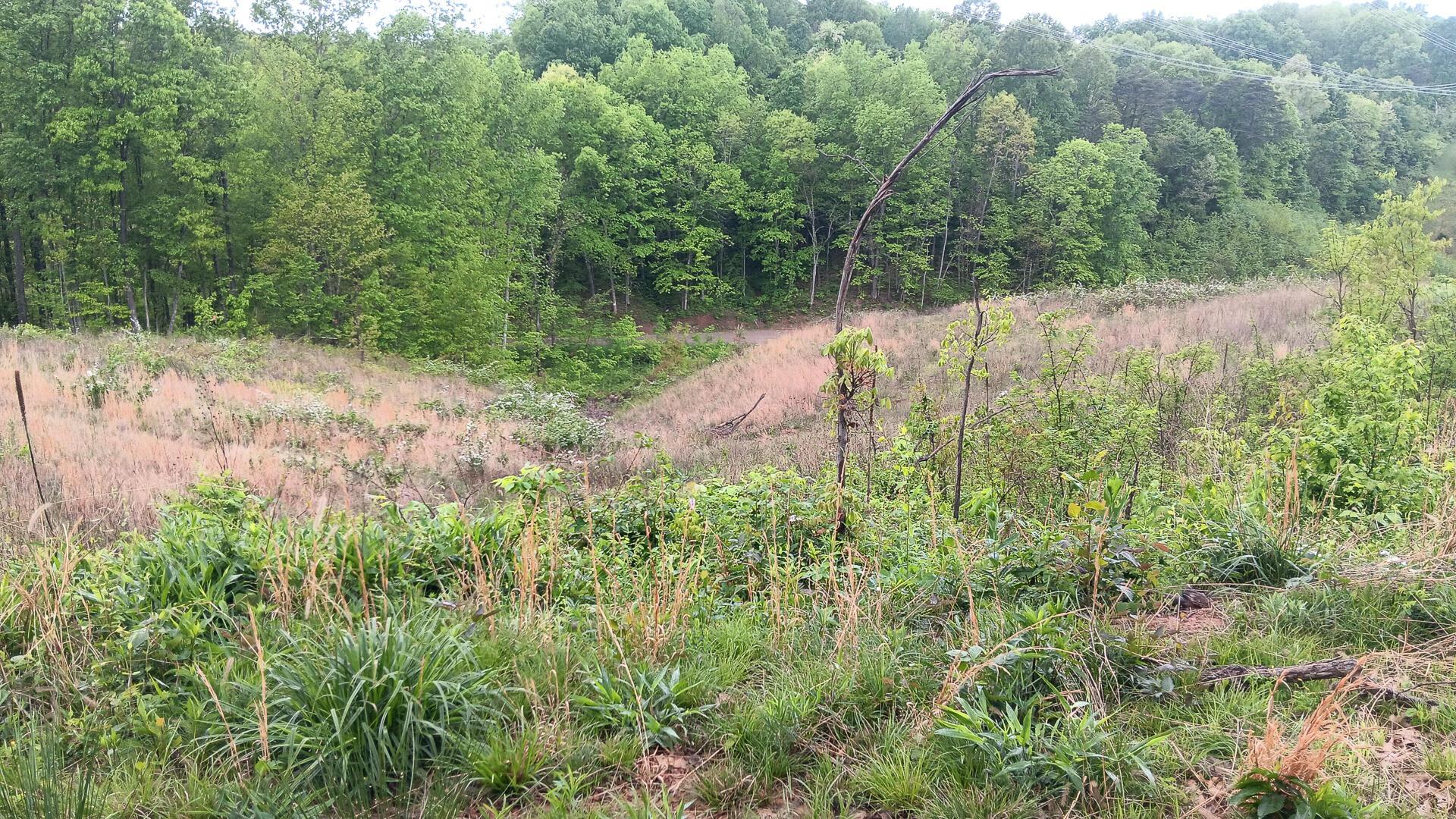 0 Hampton Hollow Road, Unit 7 ACRE TRACT) Langsville, OH 45741 - Photo 37 of 55