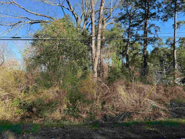 $30,000 | Tbd North Farr Avenue, Andrews, SC 29510