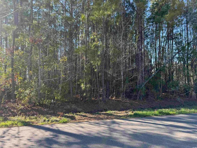 $30,000 | Tbd North Farr Avenue, Andrews, SC 29510
