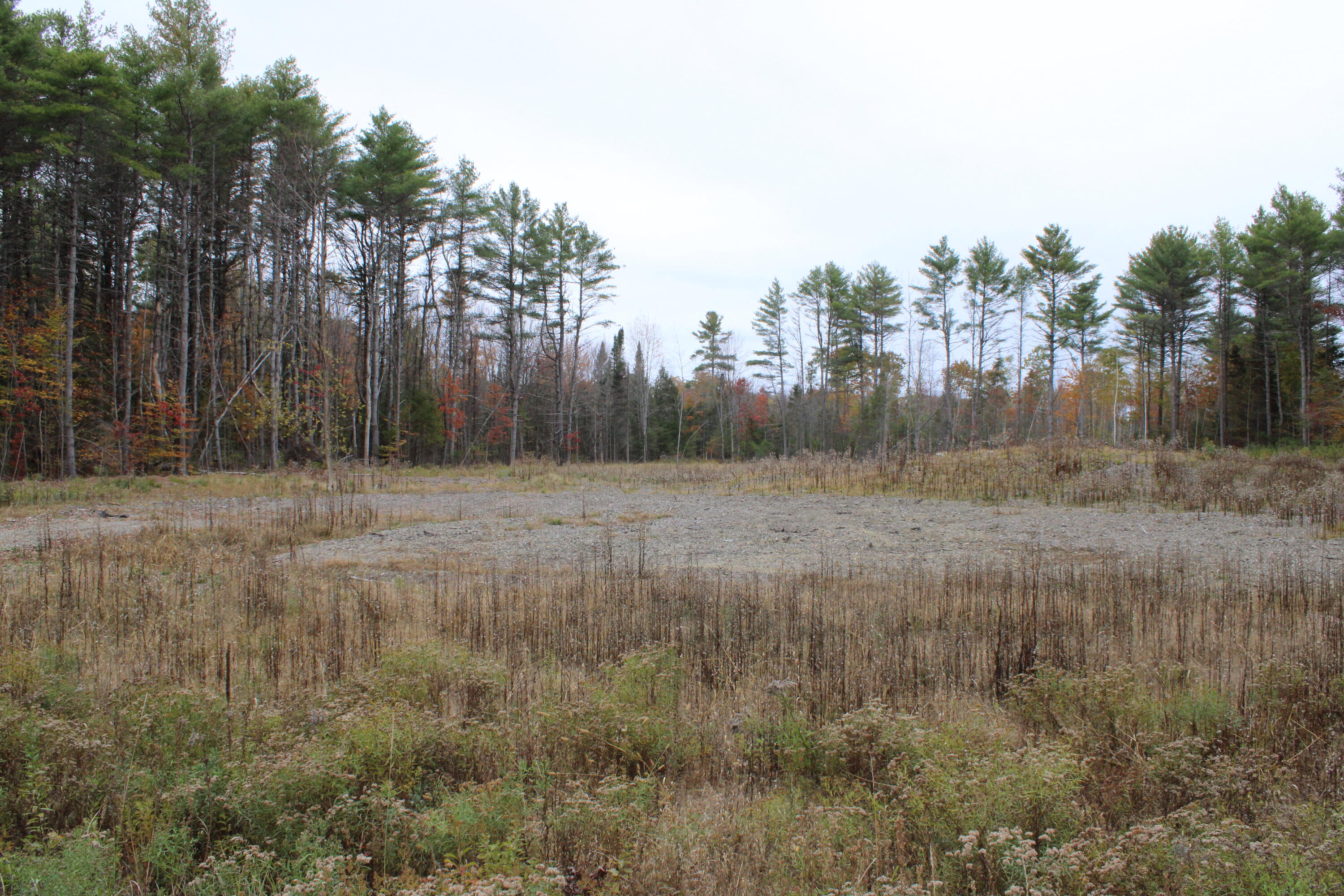 Lot 38 Choate Road Windsor, ME 04363 - Photo 2 of 6 IMG_0029