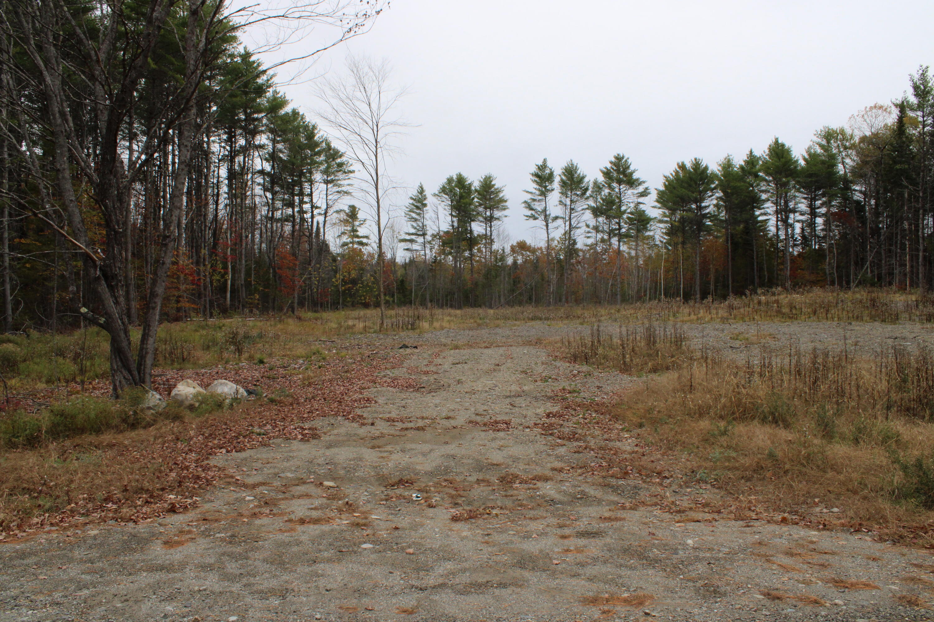 Lot 38 Choate Road Windsor, ME 04363 - Photo 3 of 6 IMG_0031